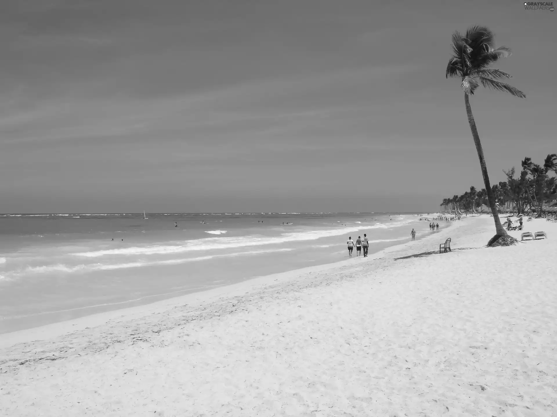 water, Palm, Dominican Republic, Sand, Punta Cana