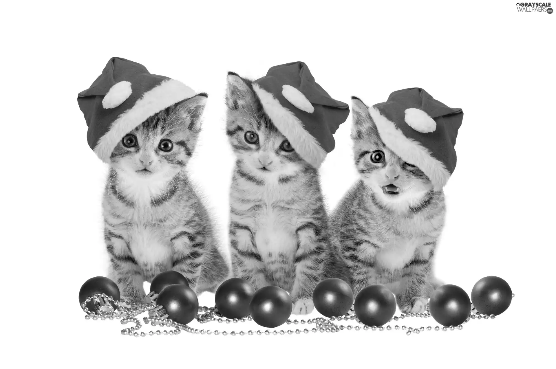 Santas, Three, puss
