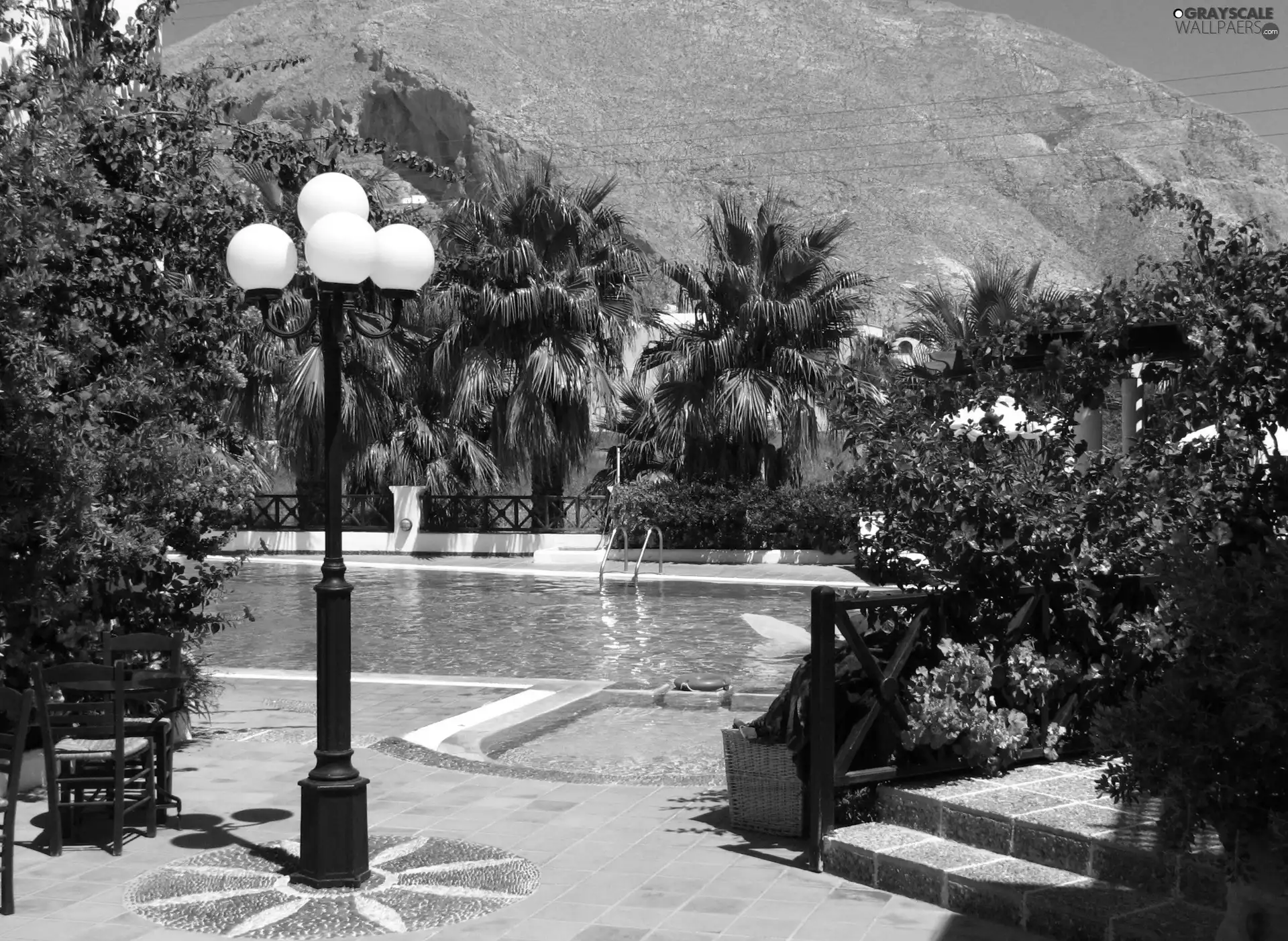 Pool, Flowers, santorini, Palms