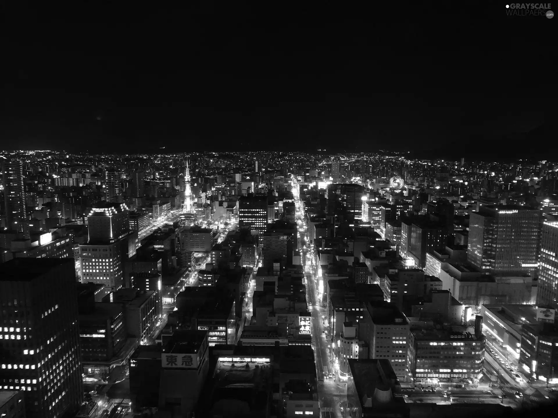 City at Night, Japan, Sapporo