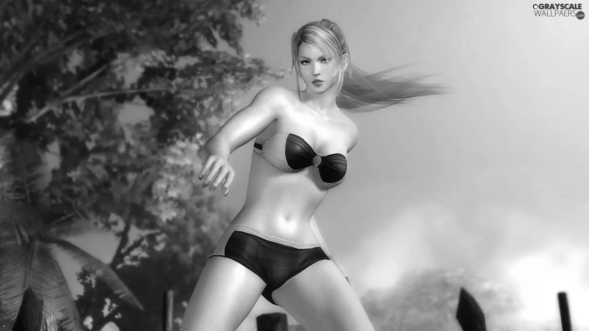 Dead Or Alive 5, Sarah