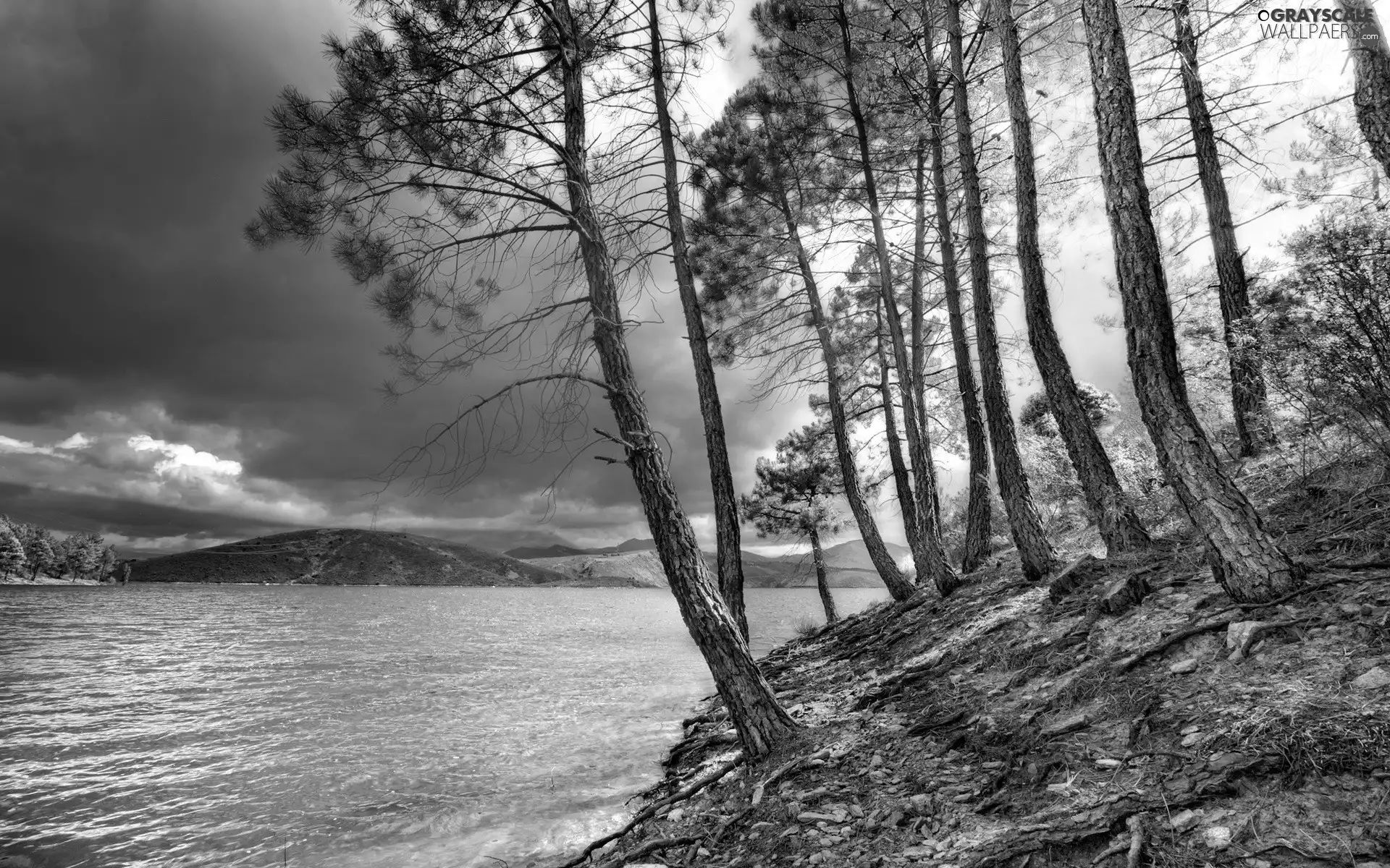 lake, pine, scarp, clouds