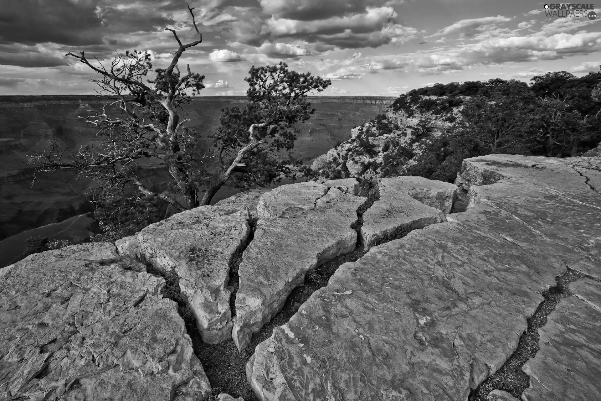 rocks, trees, scarp, panorama