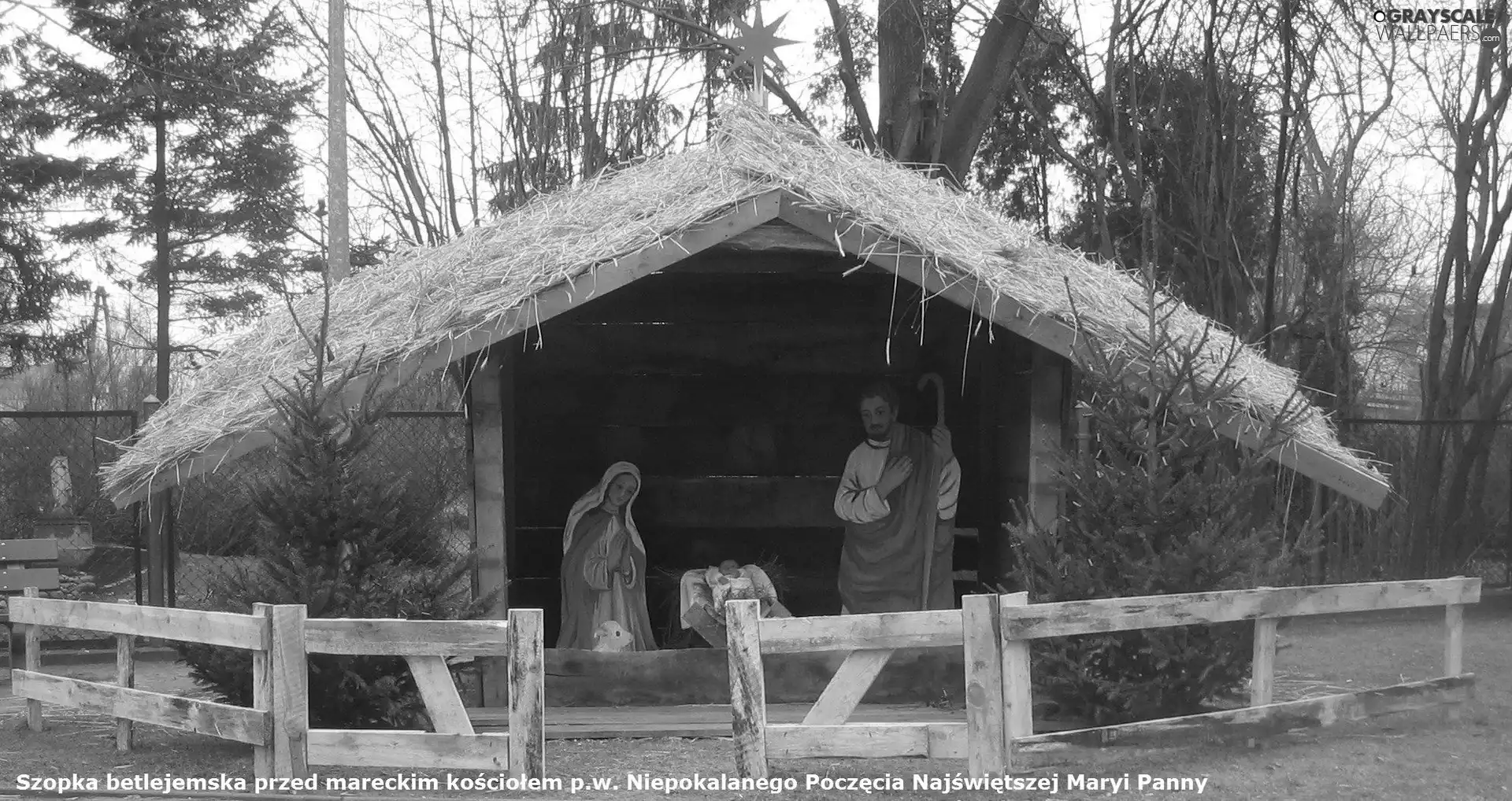 Christmas, nativity scene