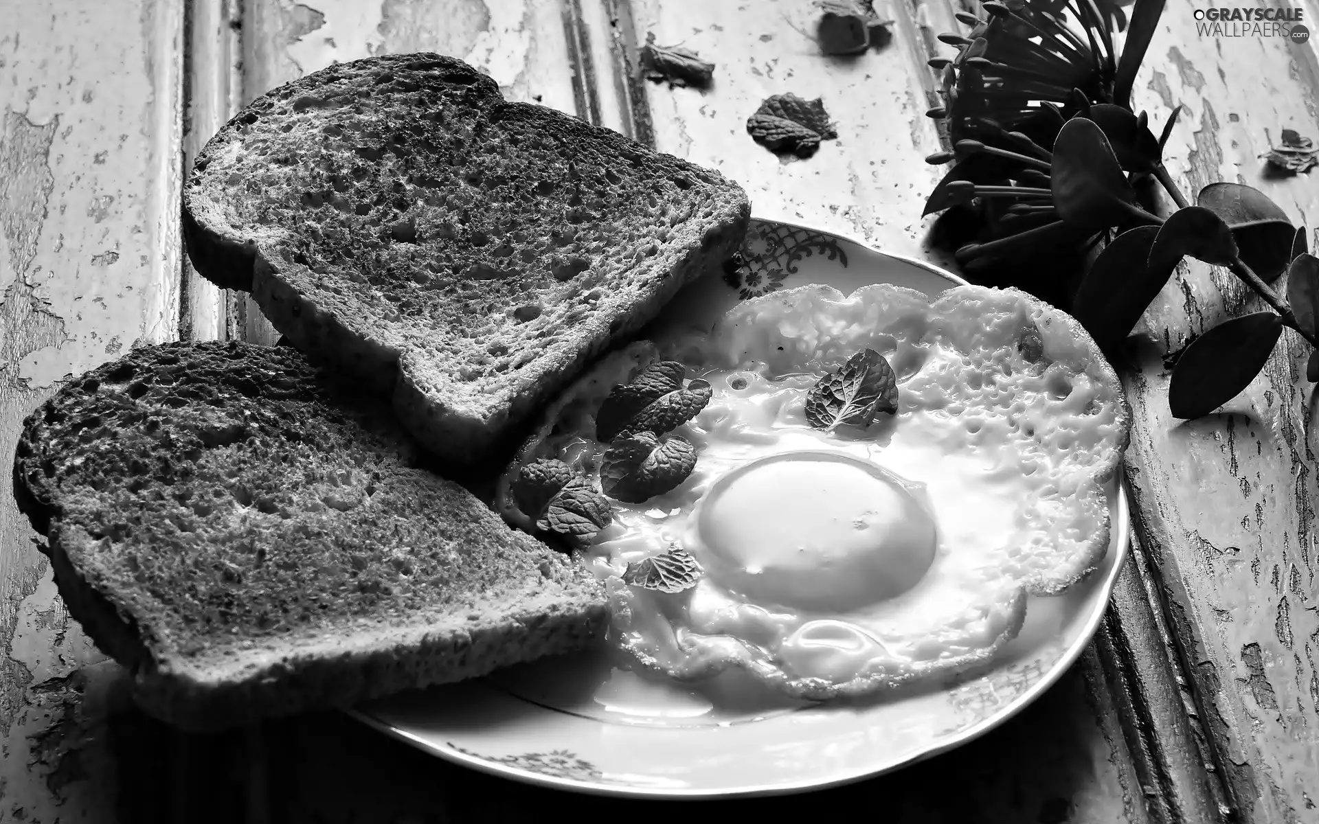 plate, toast, Scrambled Eggs