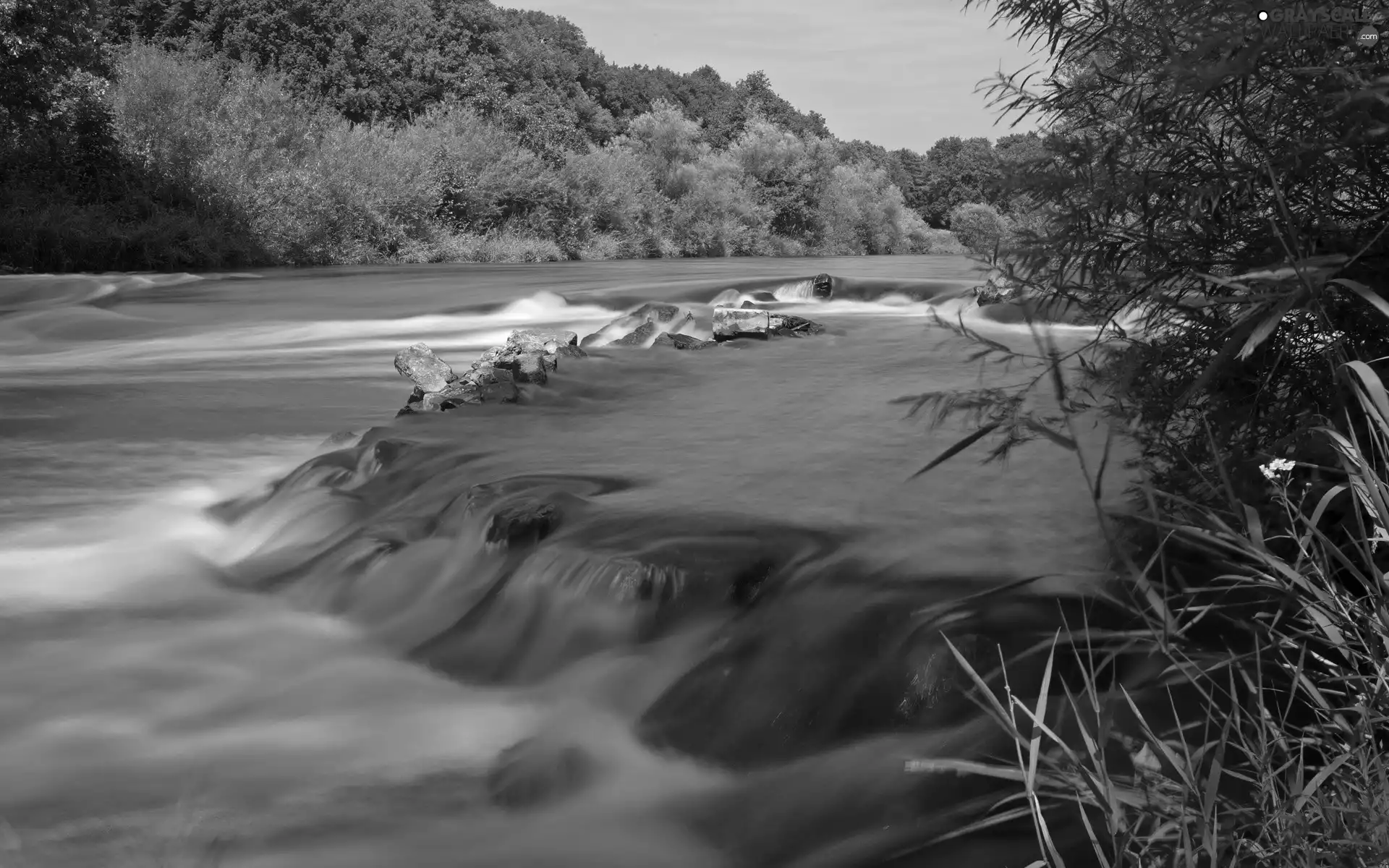 River, forest, scrub, waterfall
