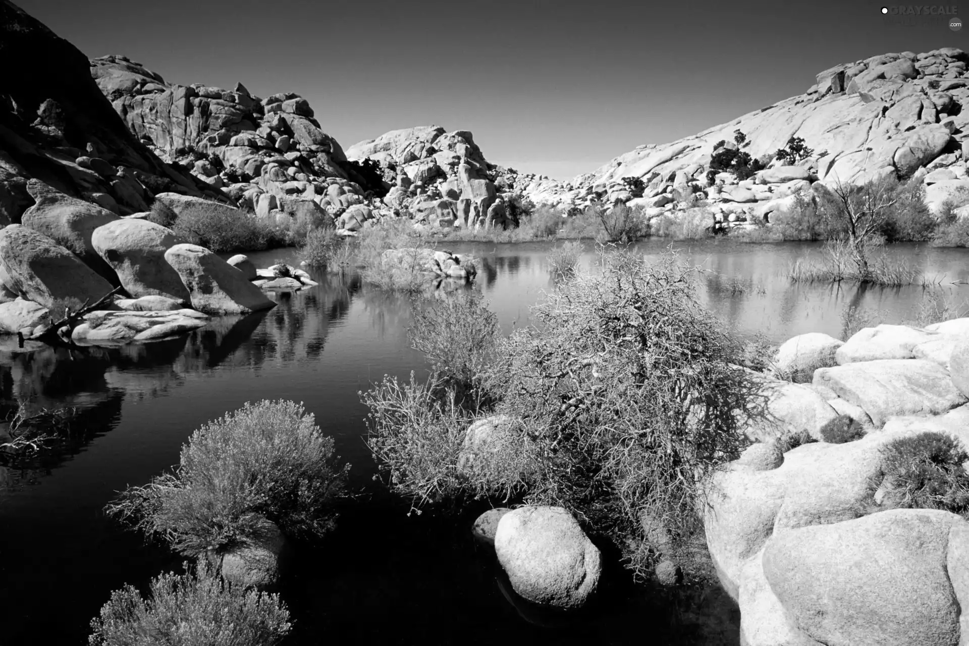 scrub, lake, rocks