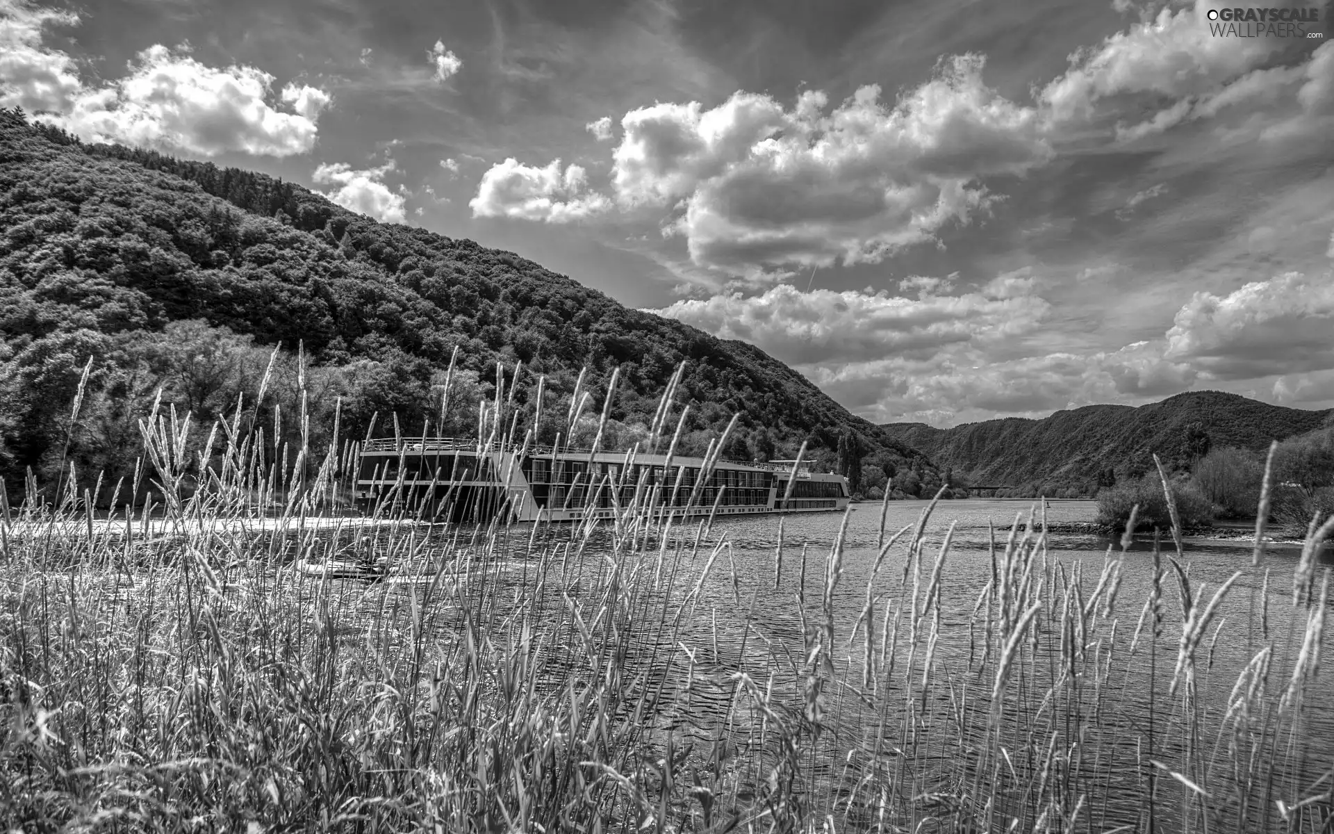 scrub, summer, River, Cruise Ship, Mountains