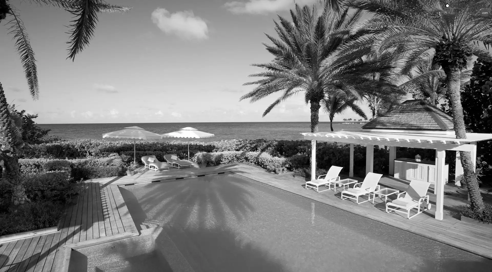 sea, holiday, deck chair, Palms, Pool