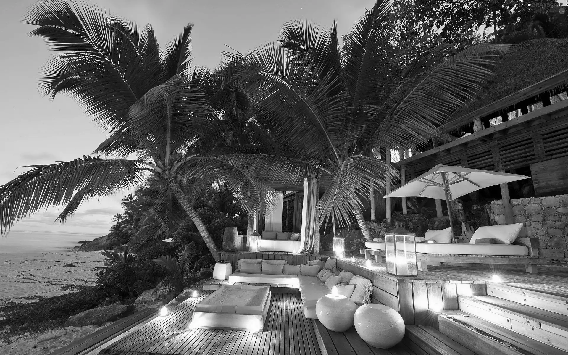 Hotel hall, Palms, sea, Coast