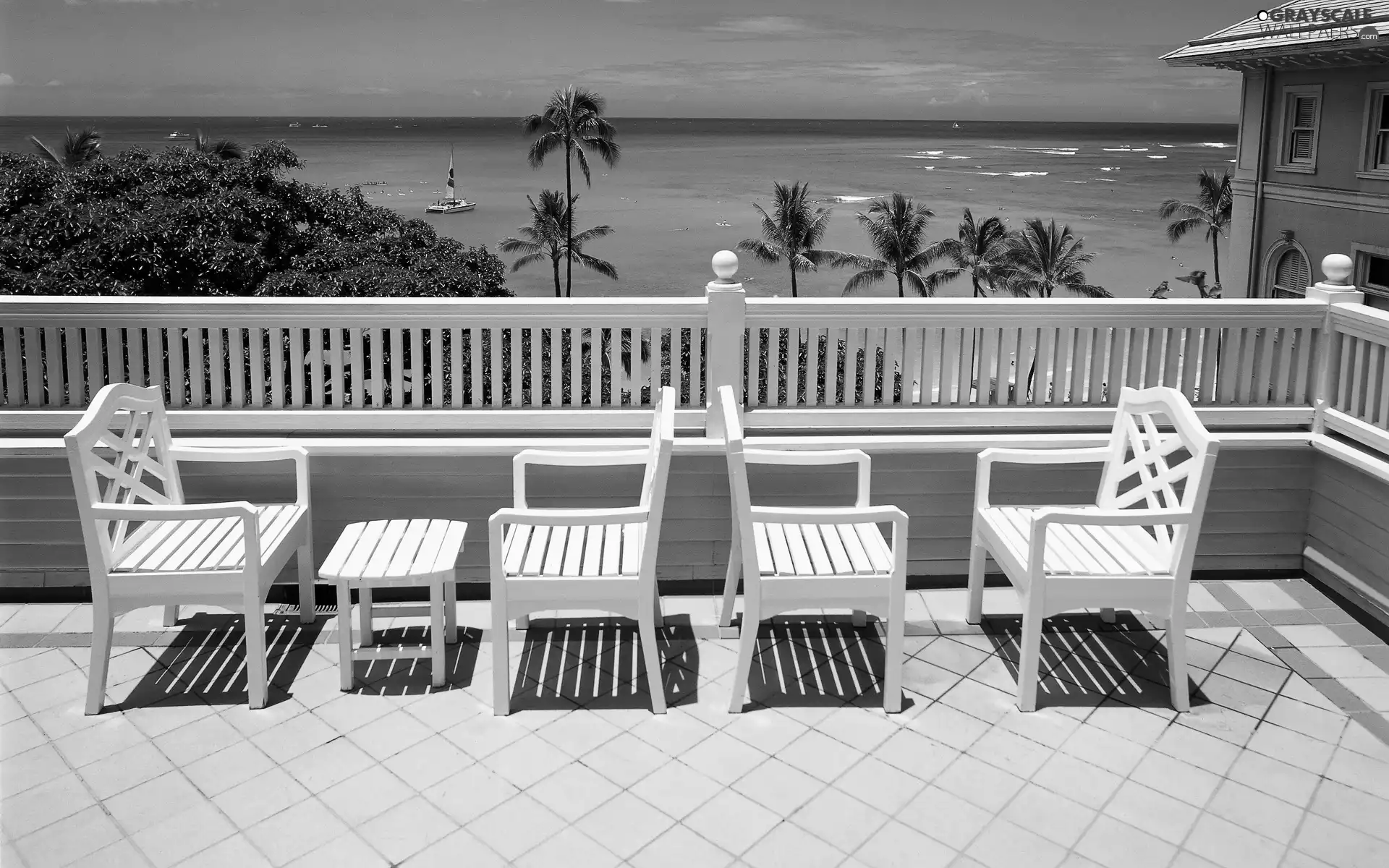 sea, Palms, terrace, Stool, house