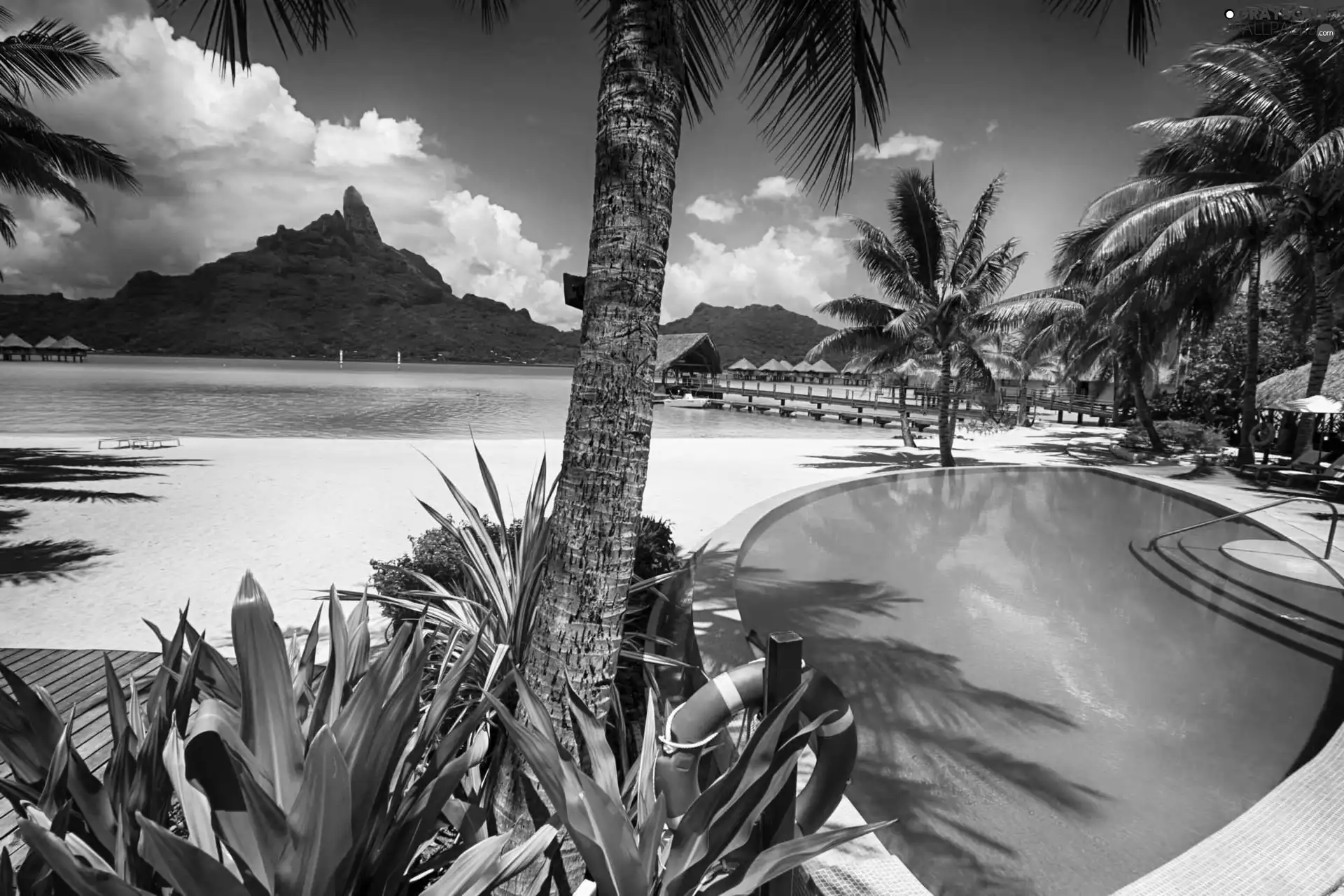 sea, Houses, Palms, Bora Bora, Pool, Mountains