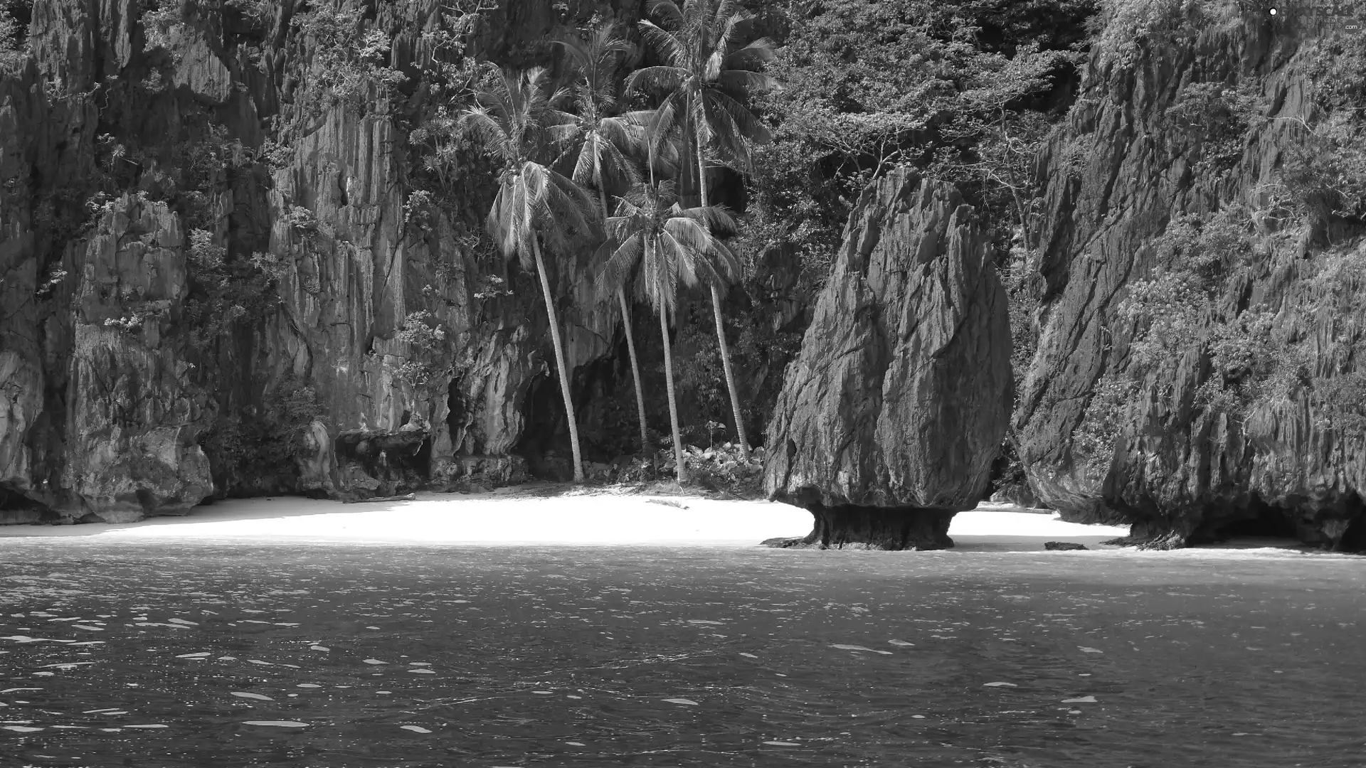 sea, rocks, Palms