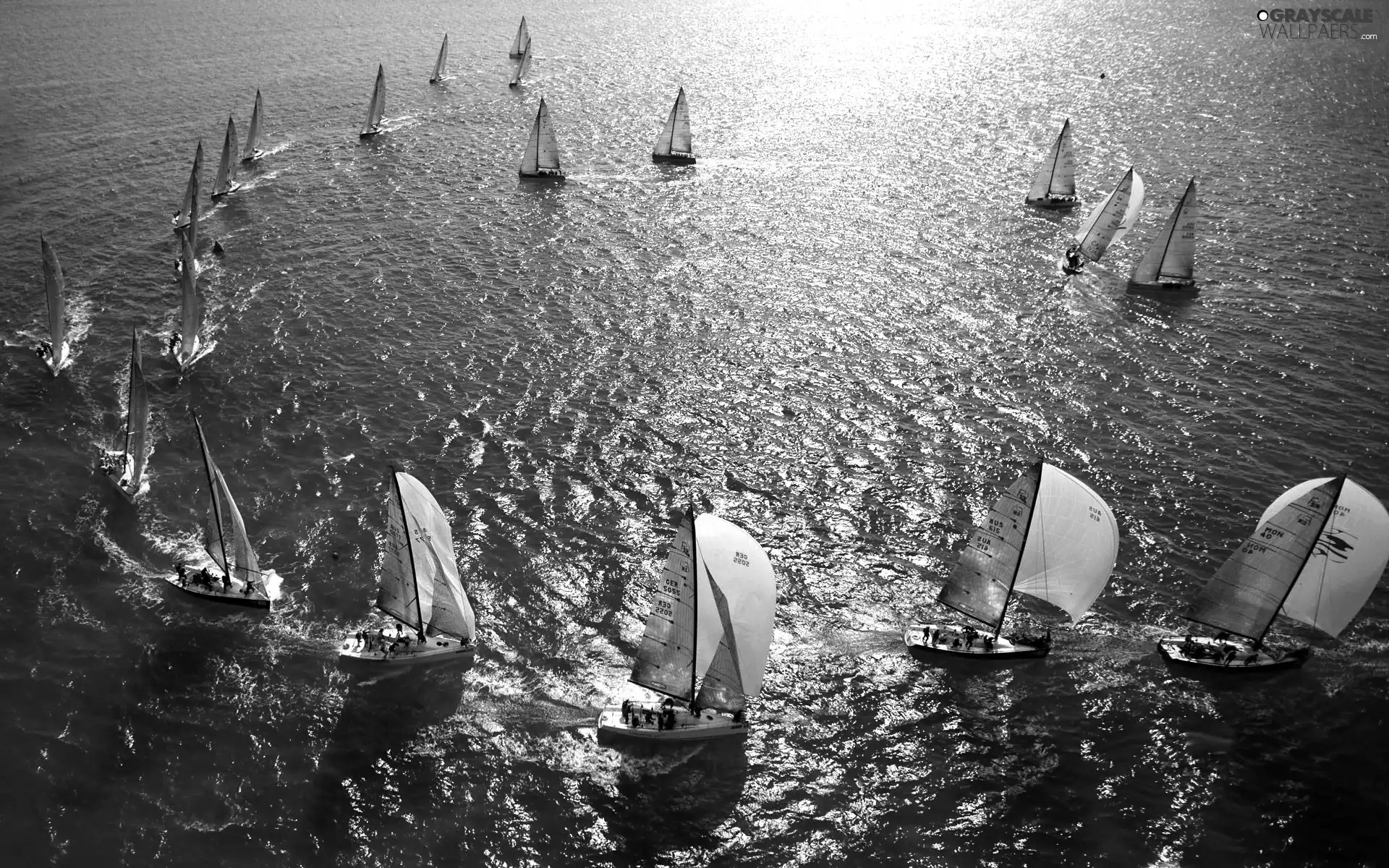 Sailboats, sea