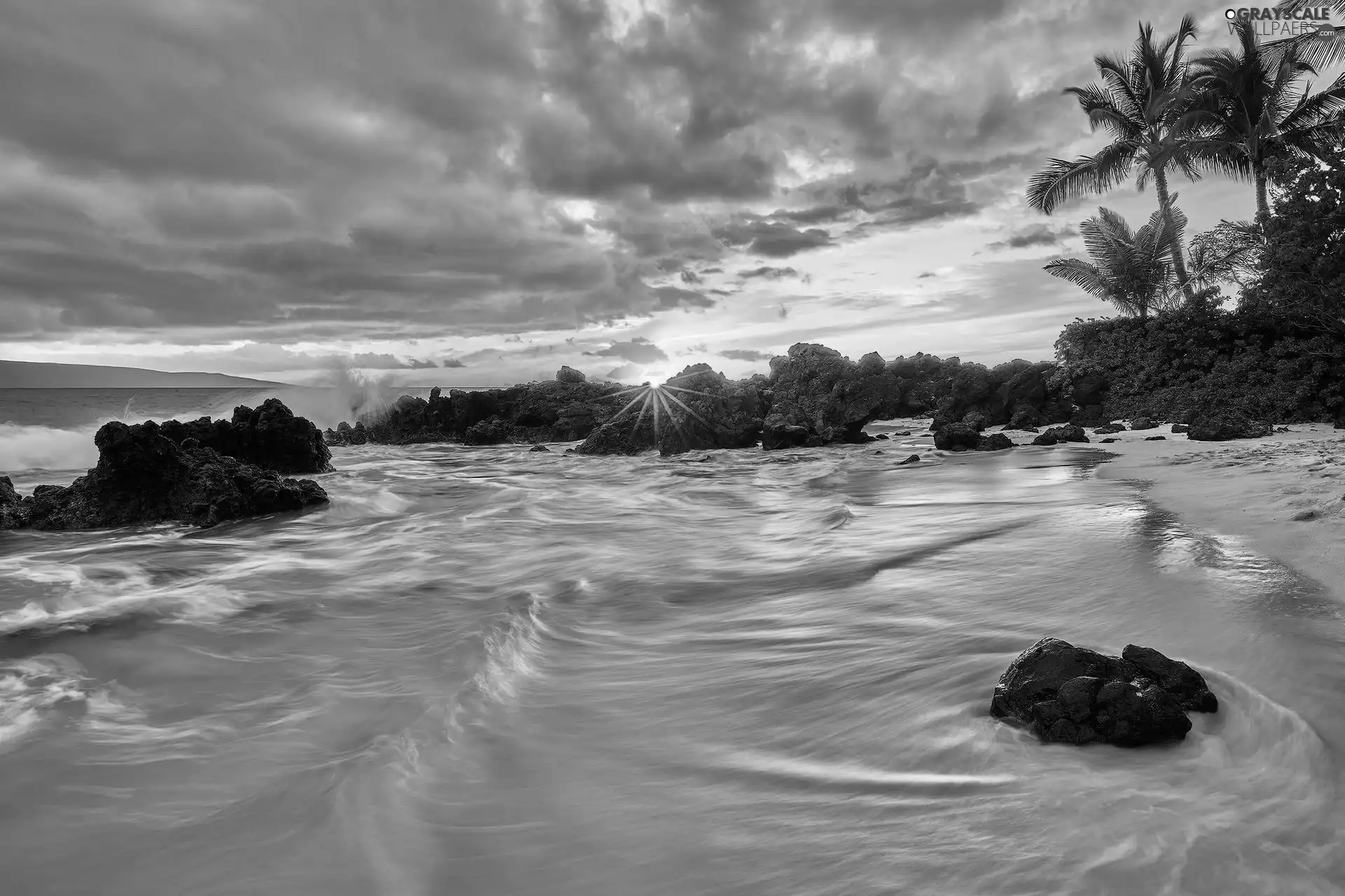 Waves, Aloha State Hawaje, Beaches, Sunrise, Palms, sea