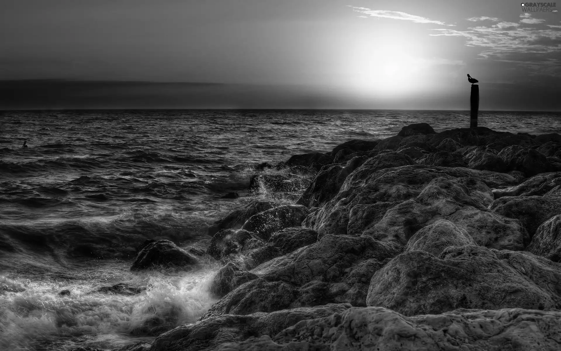 Stones, sea