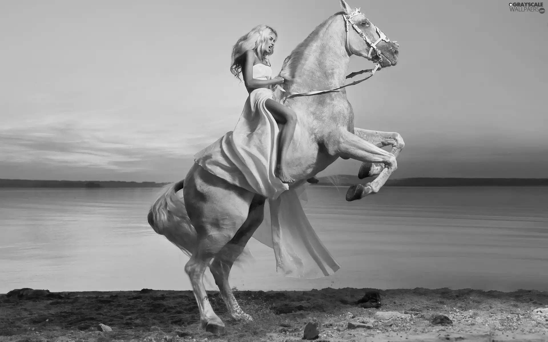 sea, Horse, Women