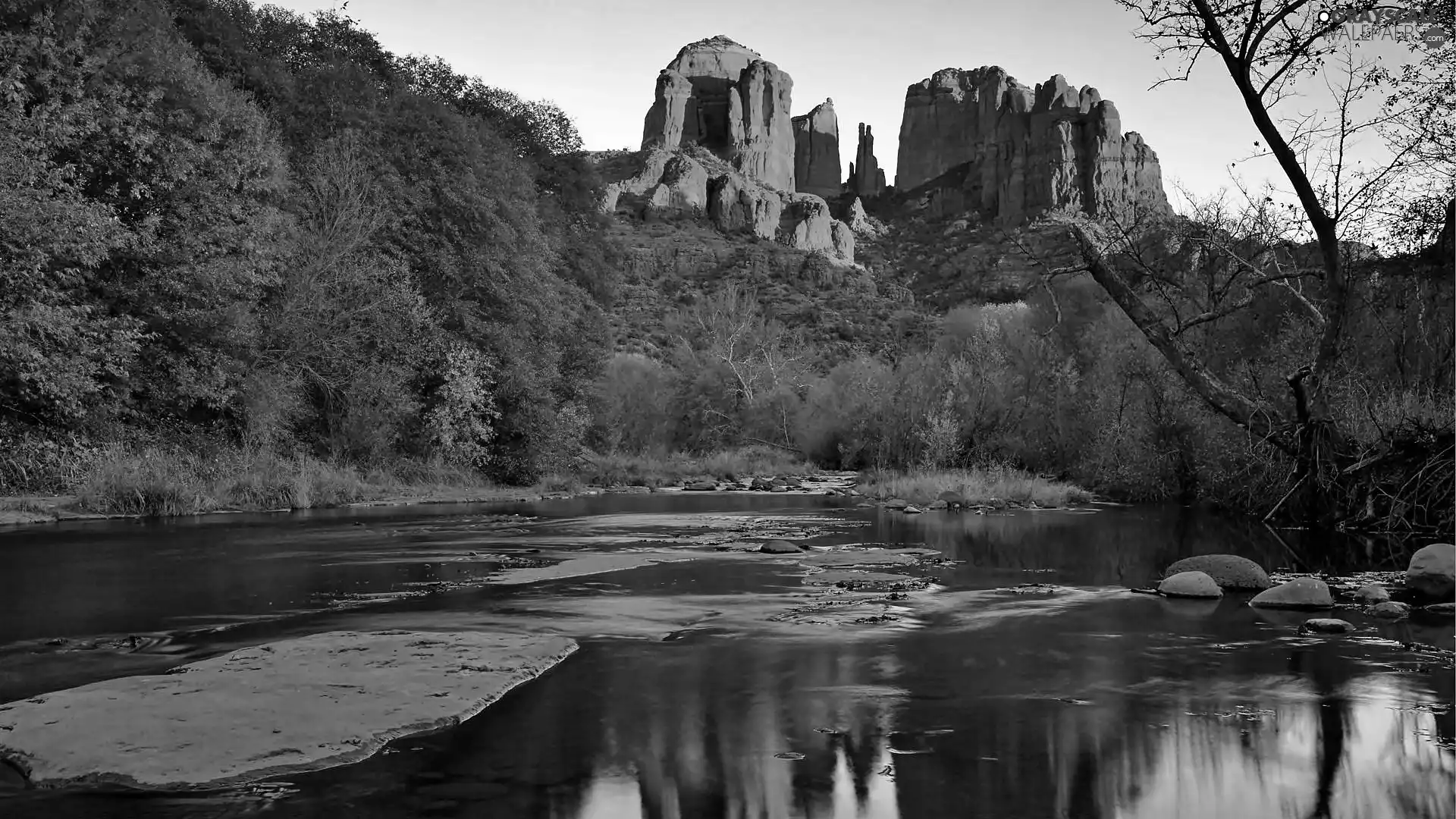 River, Red, Sedona, Arizona, forest, rocks