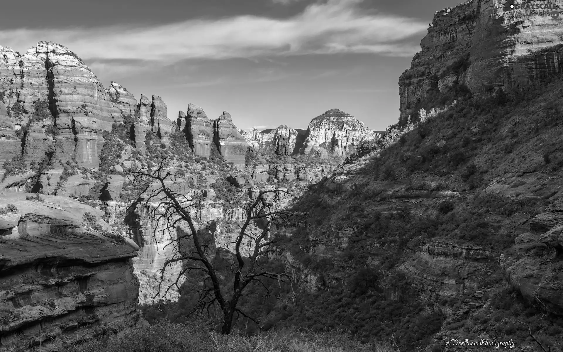 rocks, trees, Arizona, Sedona, The United States