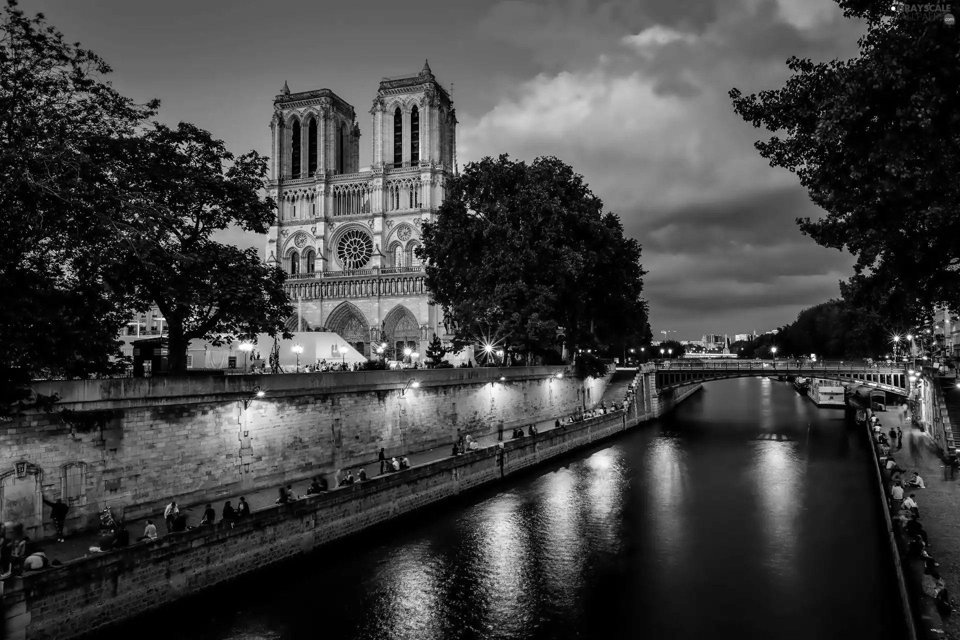 Seine, bridge, France, Notre Dame, Paris