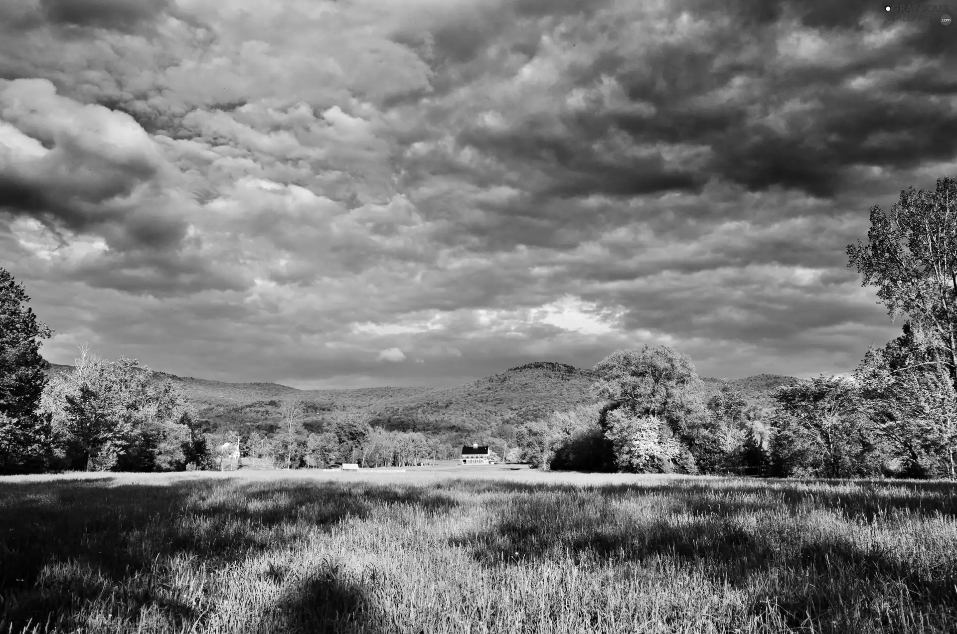 Meadow, clouds, shadows, trees, house, Mountains