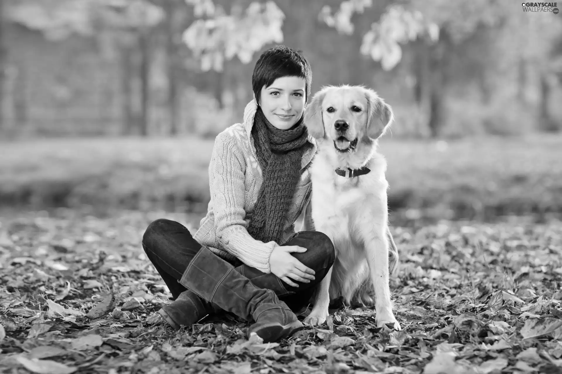 Women, Leaf, shawl, dog