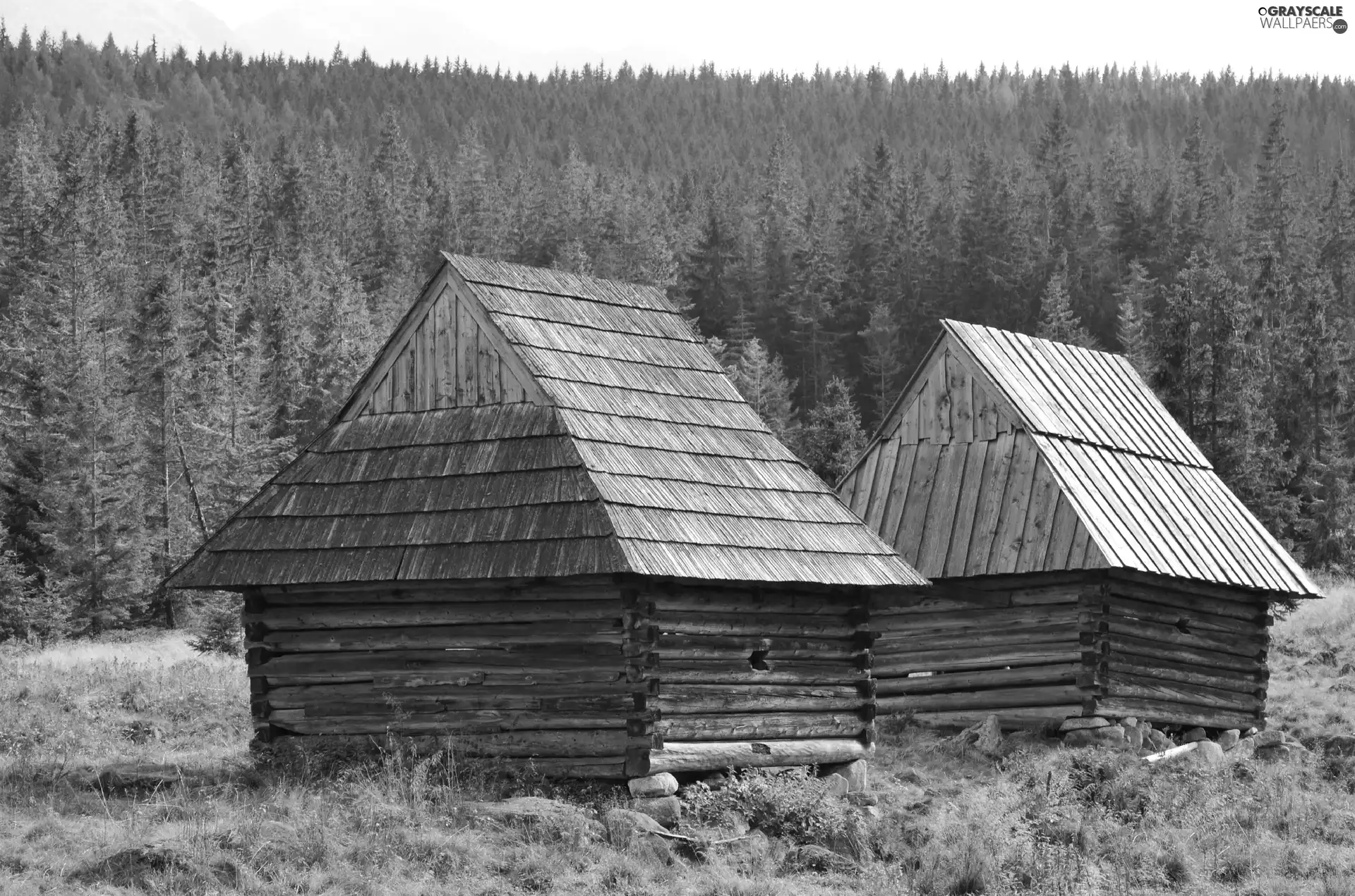 Zakopane, Sheepfarm