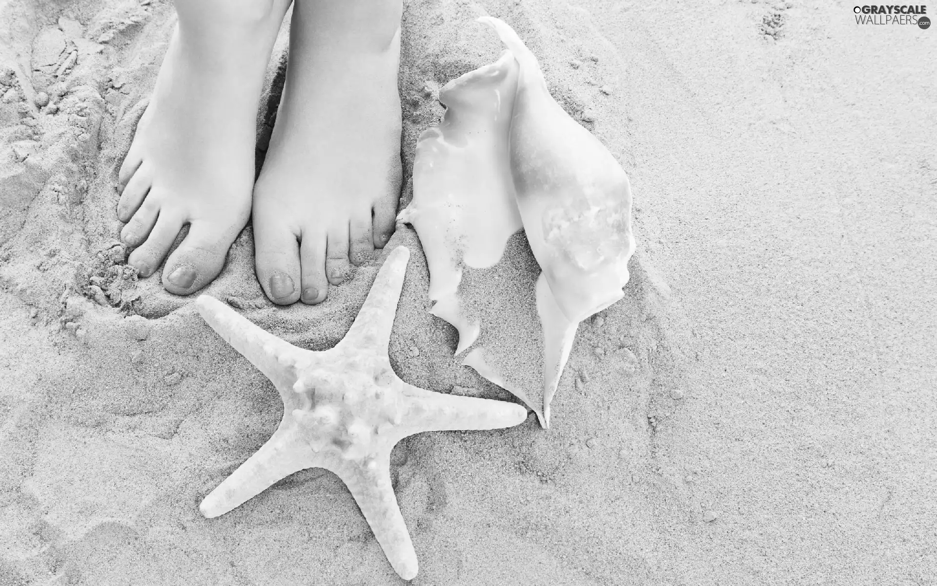 Shells, Sand, Foot