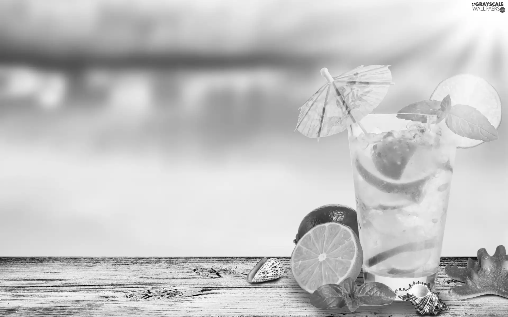 Shells, lemonade, limes