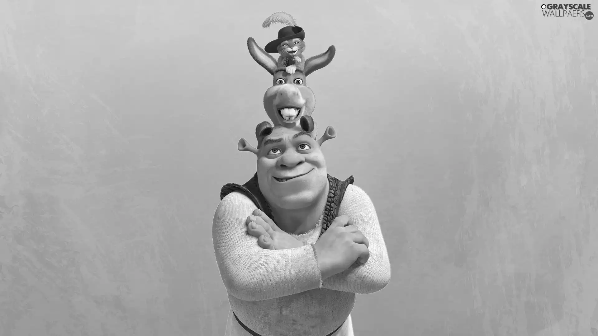 cartoon, donkey, cat, Shrek