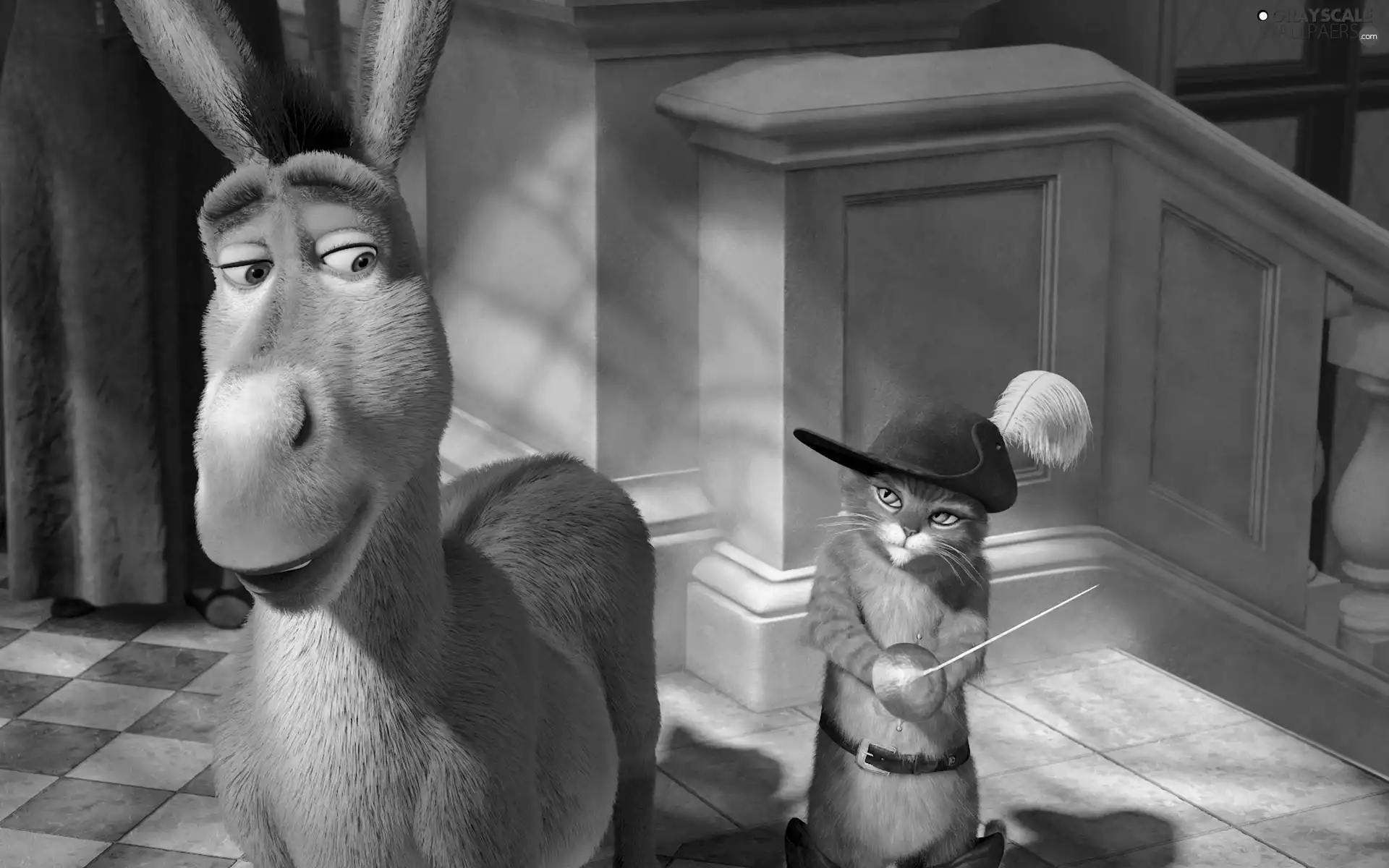 donkey, story, Shrek, cat