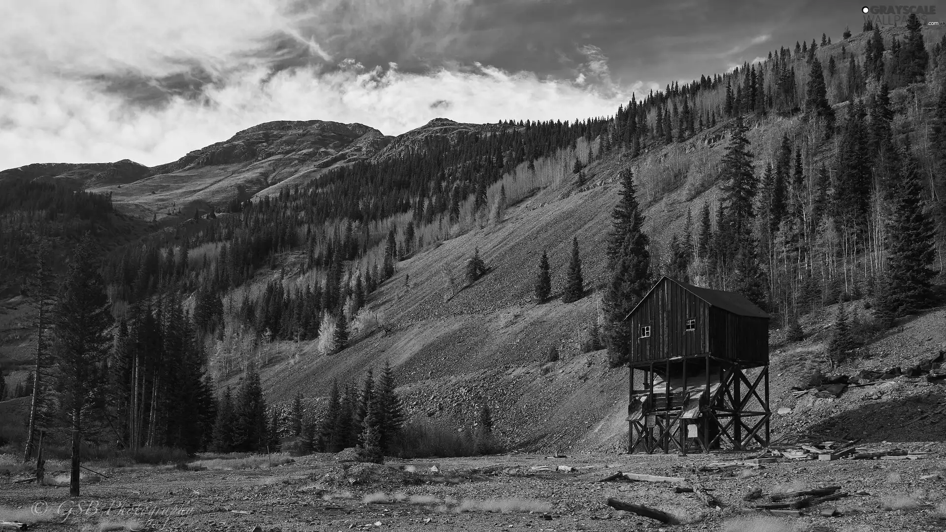 viewes, cote, Hill-side, trees, Mountains