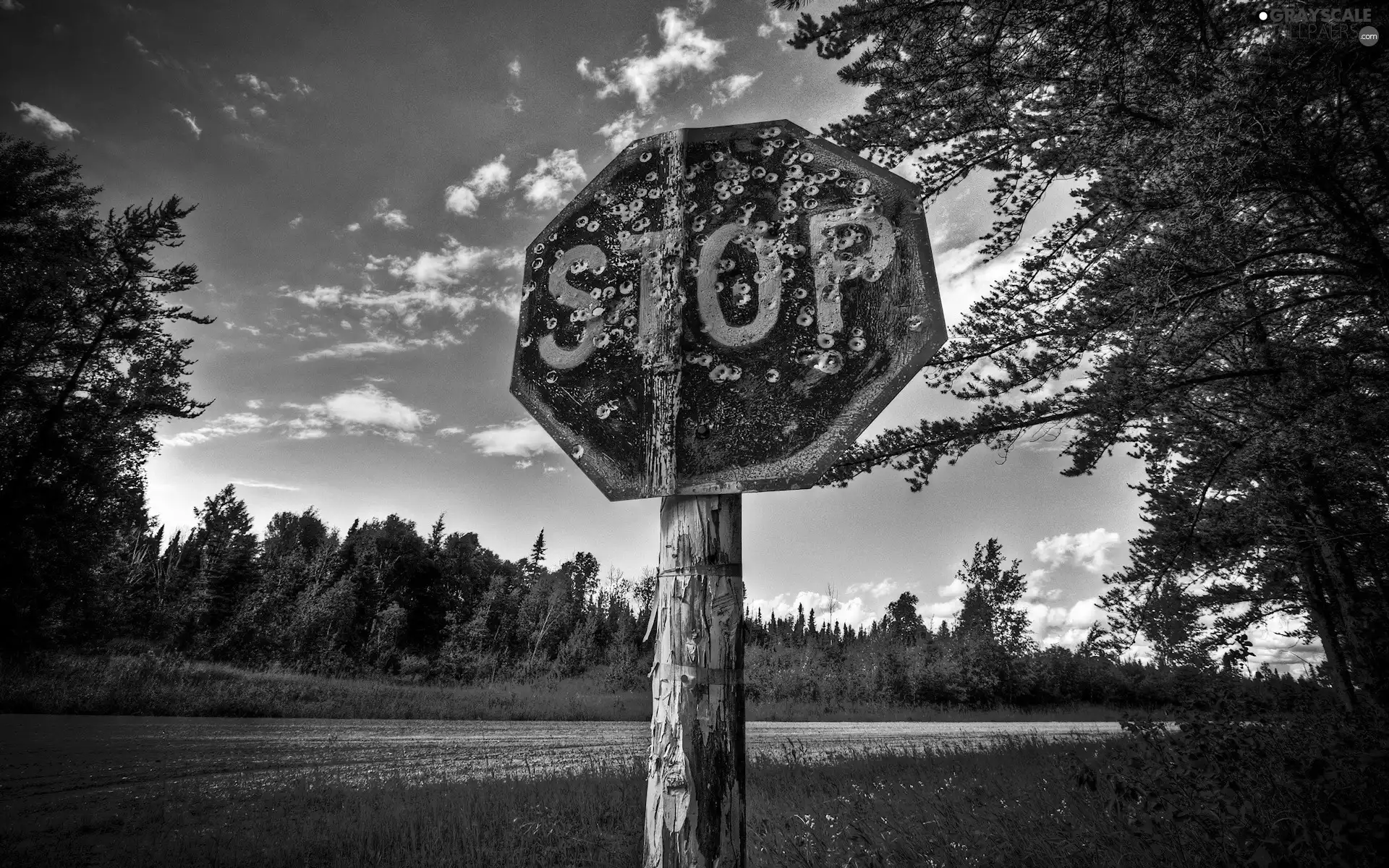 Sign, forest, Way