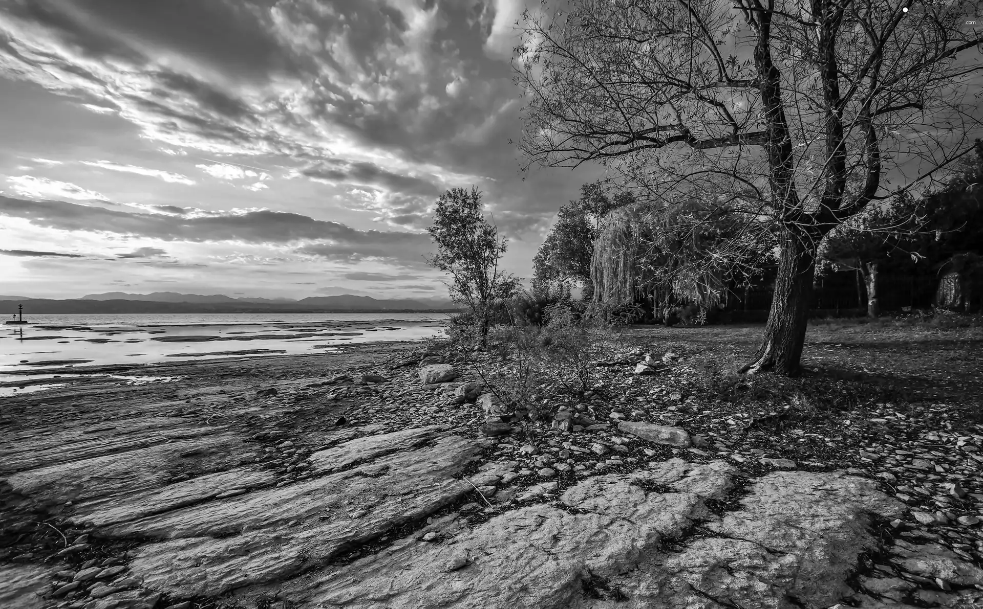 trees, Coast, Sirmione, Lombardy, viewes, Stones
