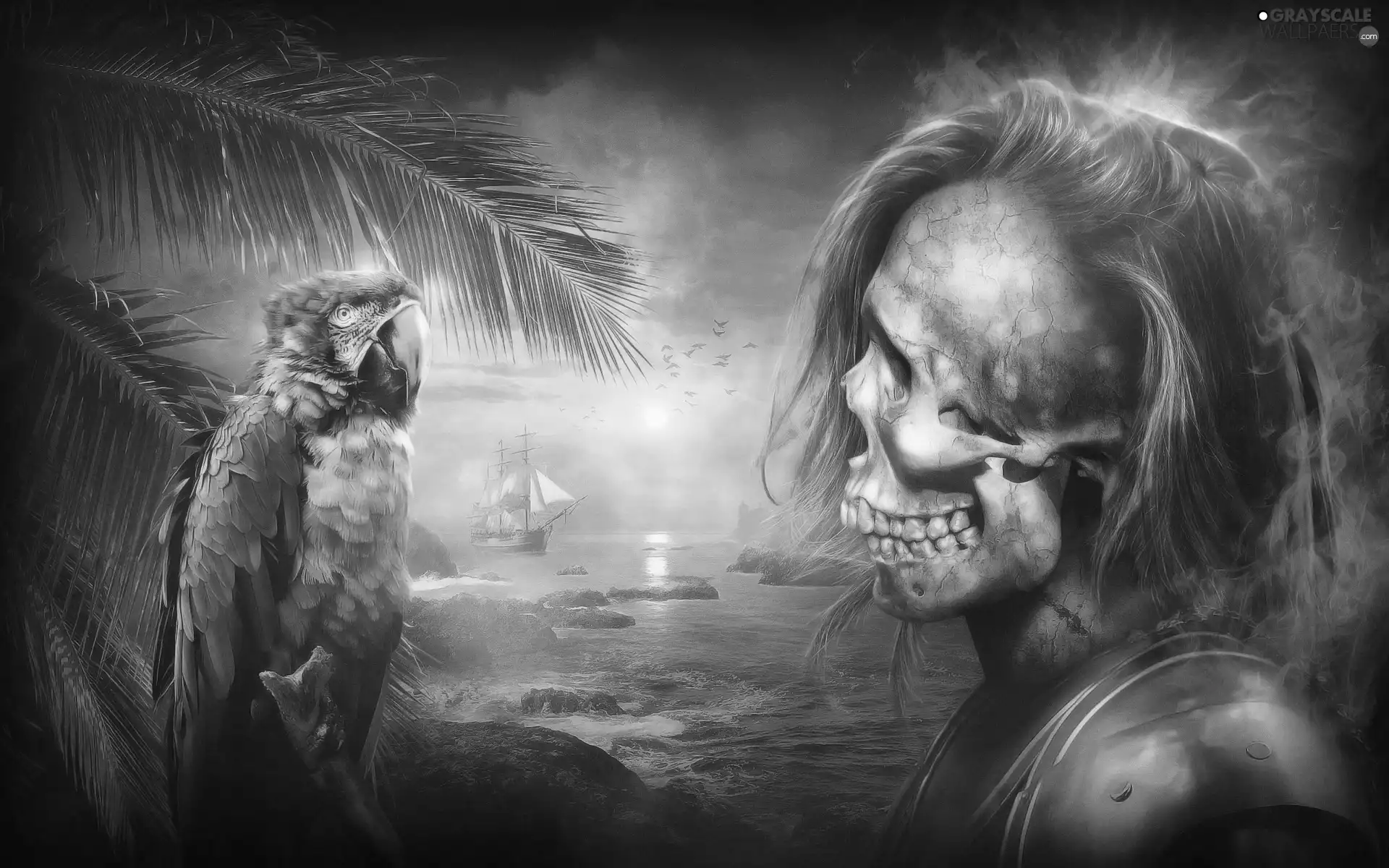 skull, sea, parrot