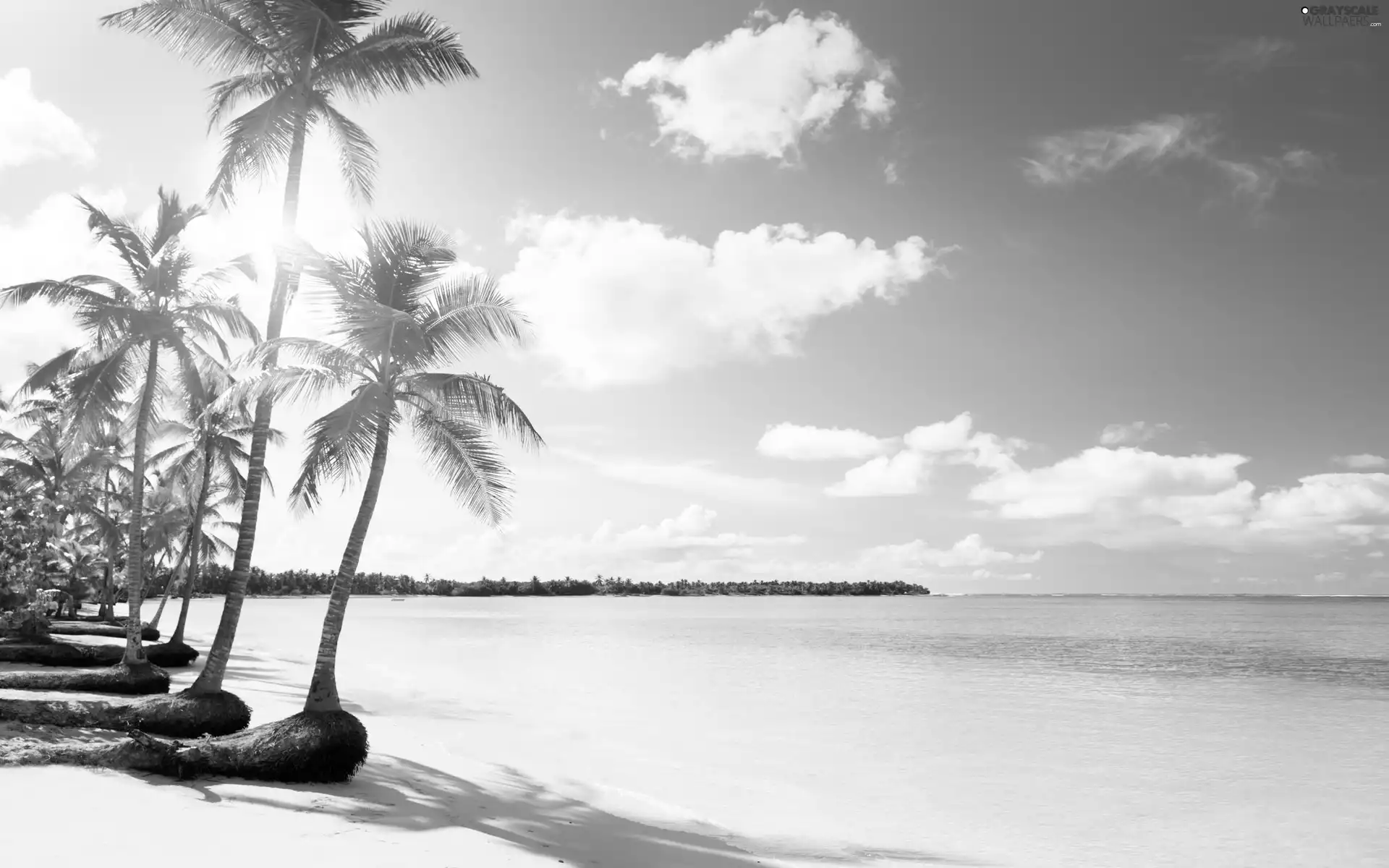 Beaches, blue, Sky, sea