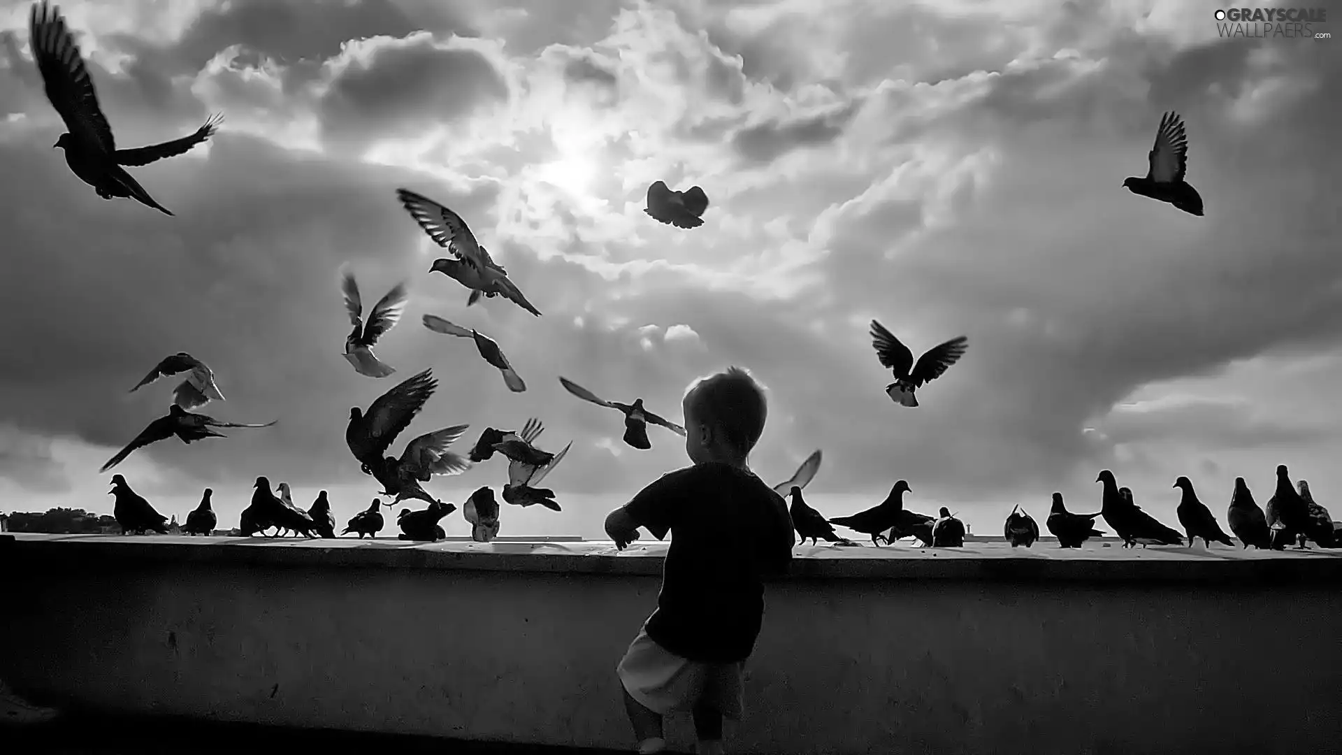 Sky, Kid, birds