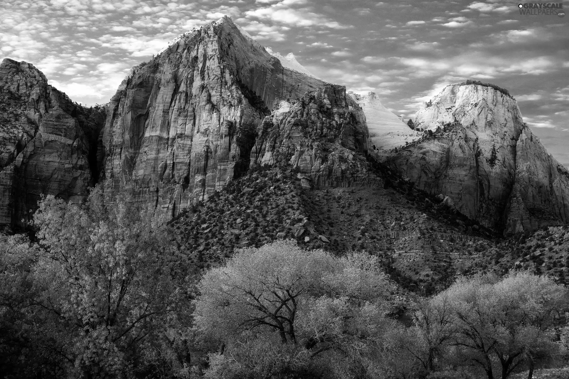 canyon, viewes, Sky, trees