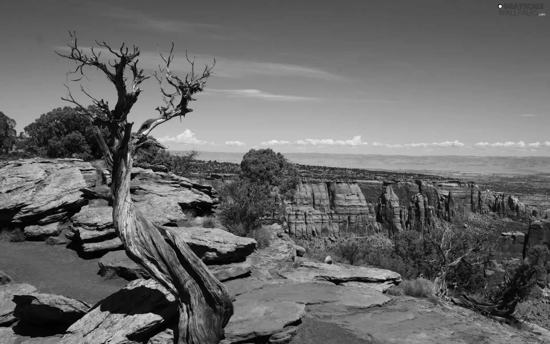 canyons, viewes, Sky, trees