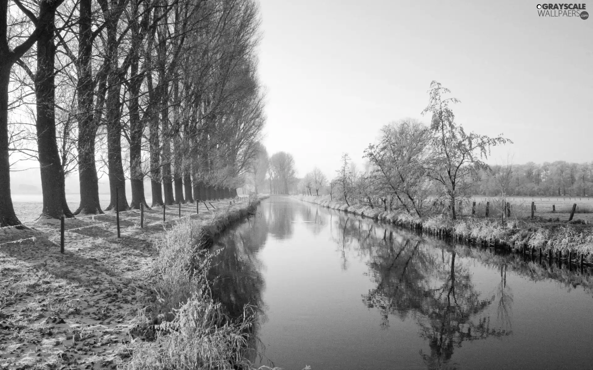 Sky, Cloudless, viewes, River, trees