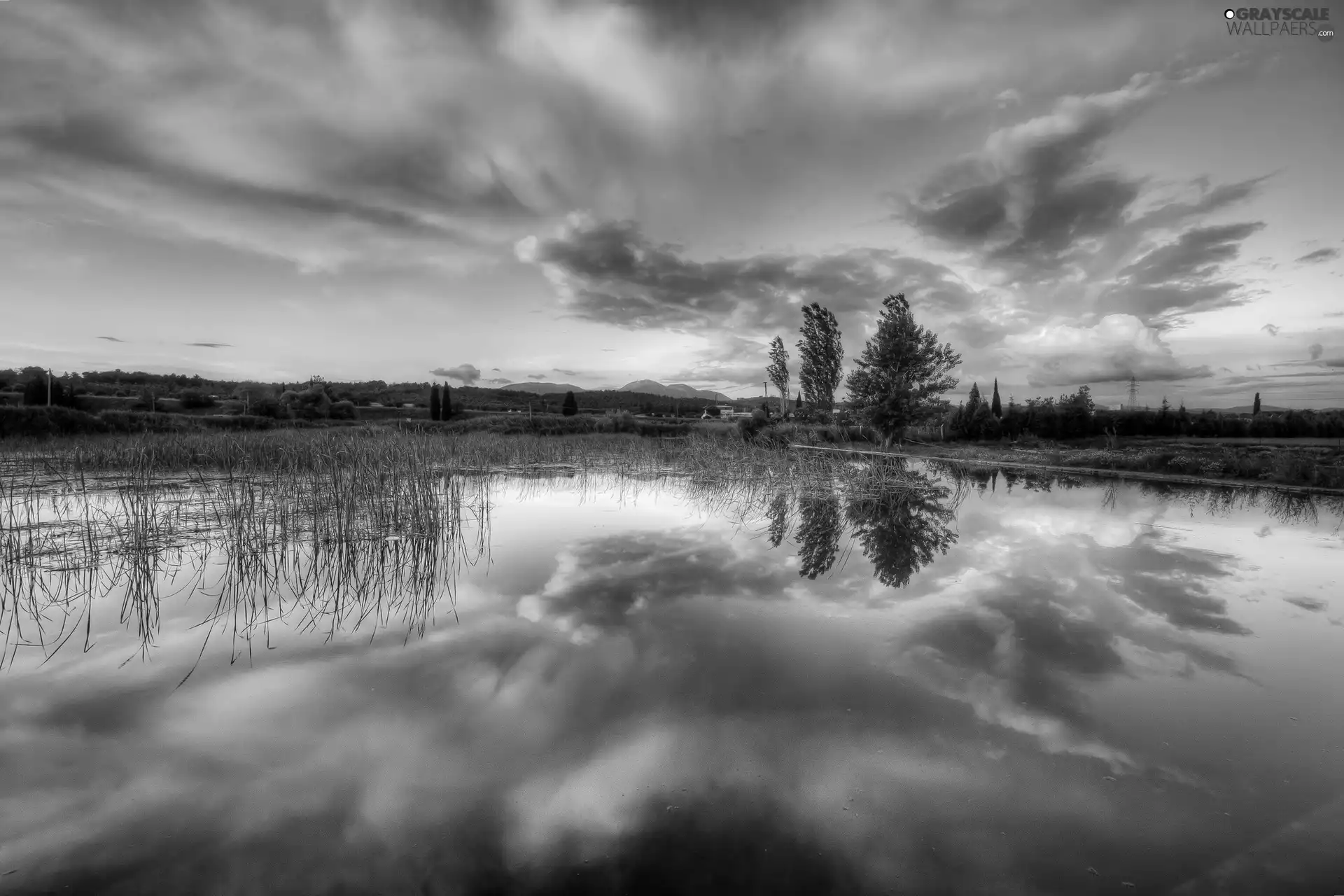 Sky, clouds, trees, viewes, lake