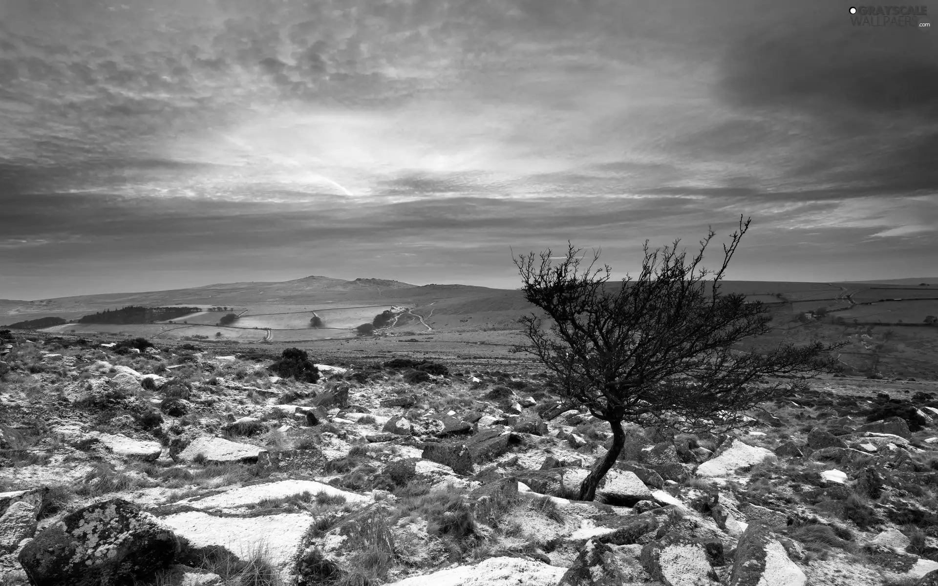 Sky, clouds, snow, trees, Stones