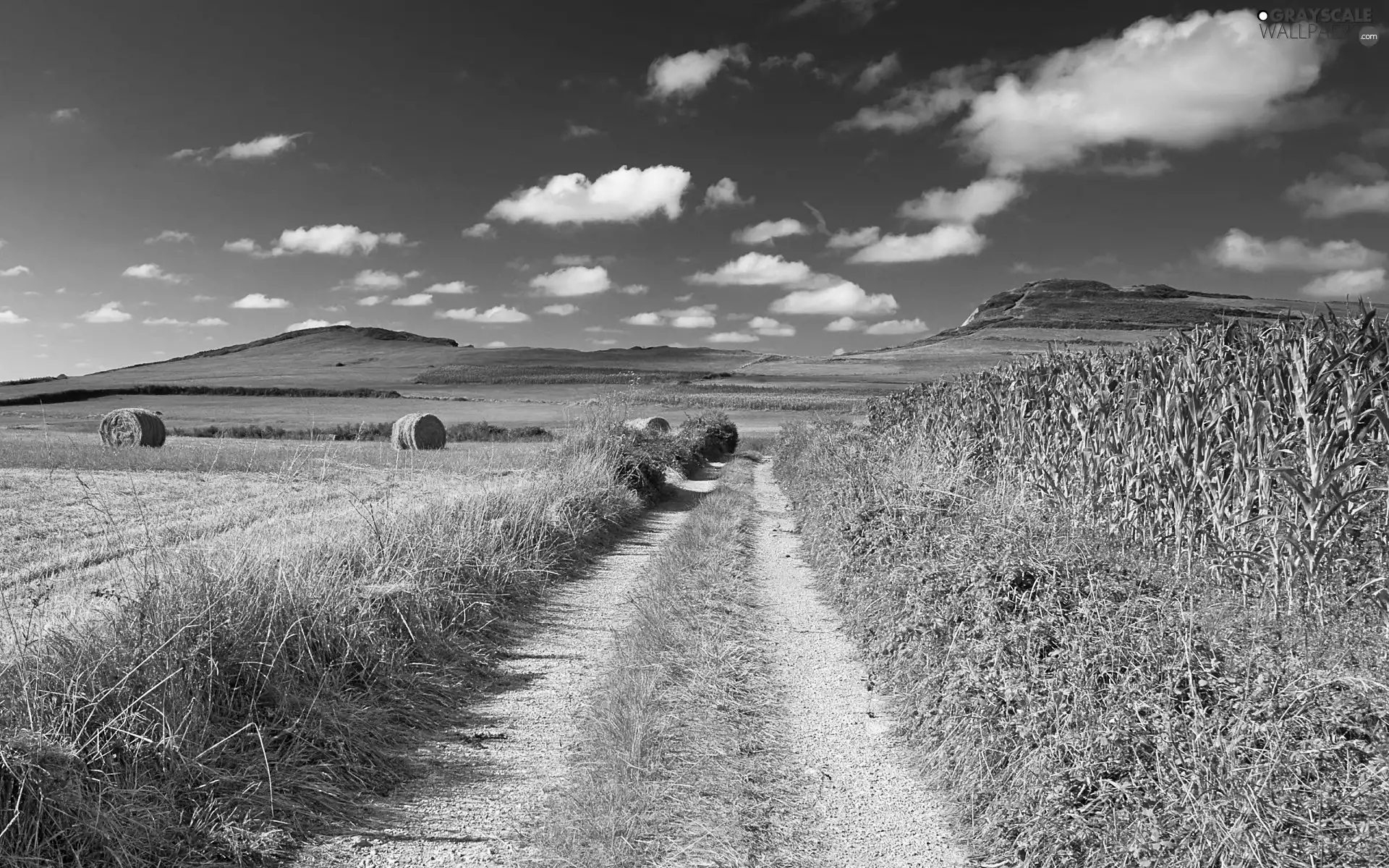 Field, field, Sky, Way