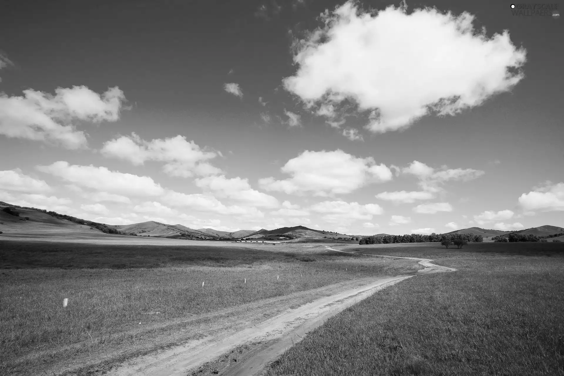 Field, Meadow, Sky, Way