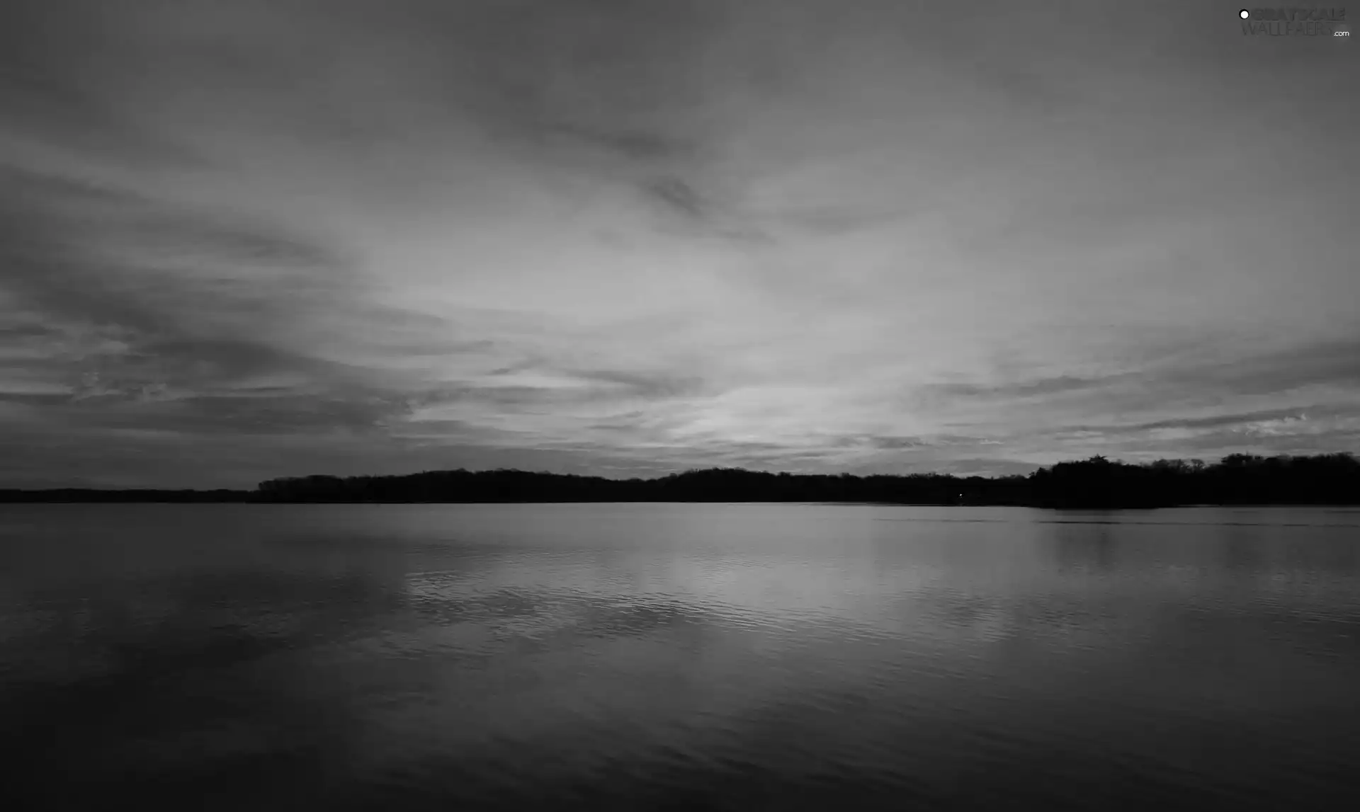 Sky, lake, forest