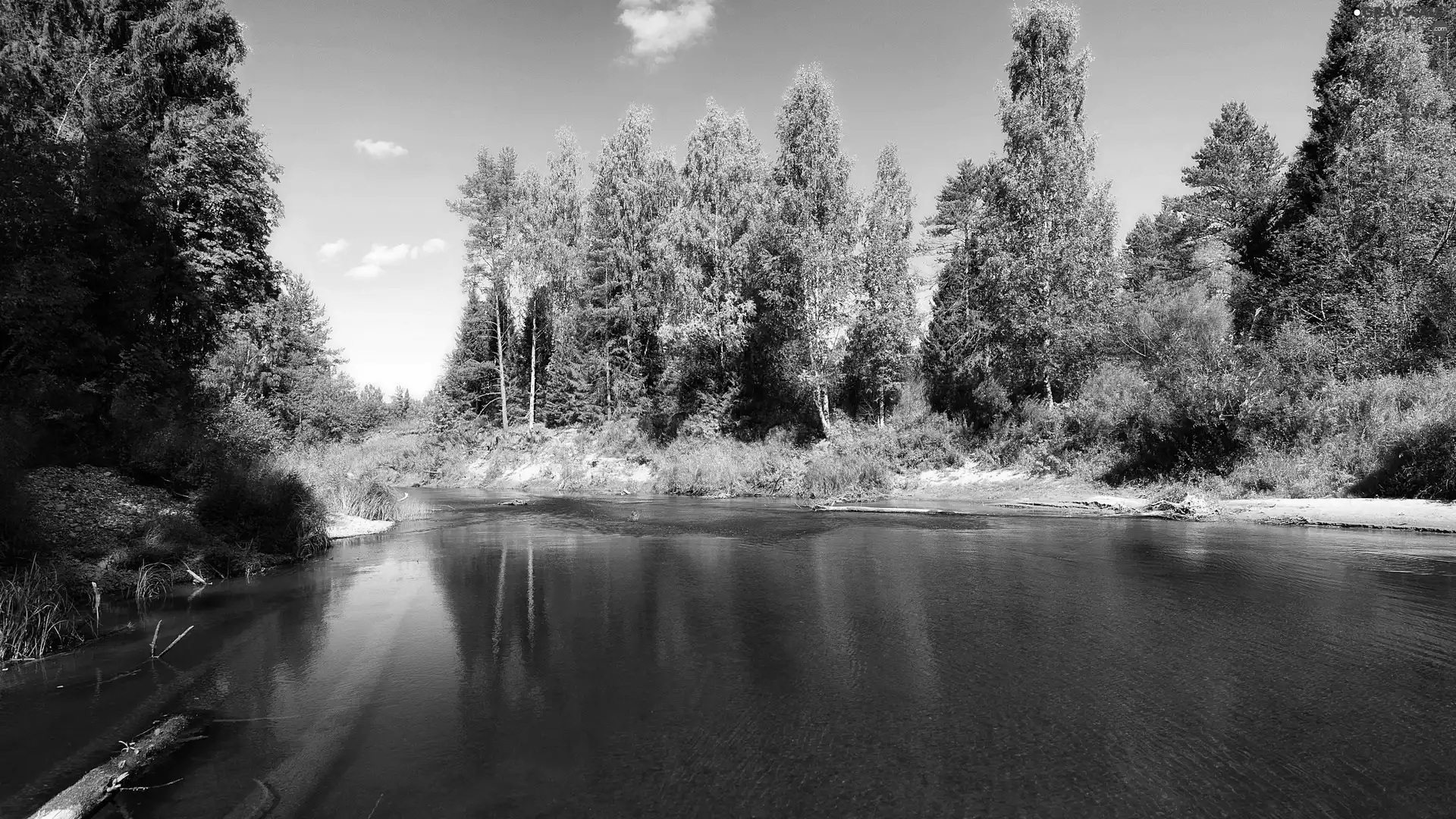 Sky, River, forest