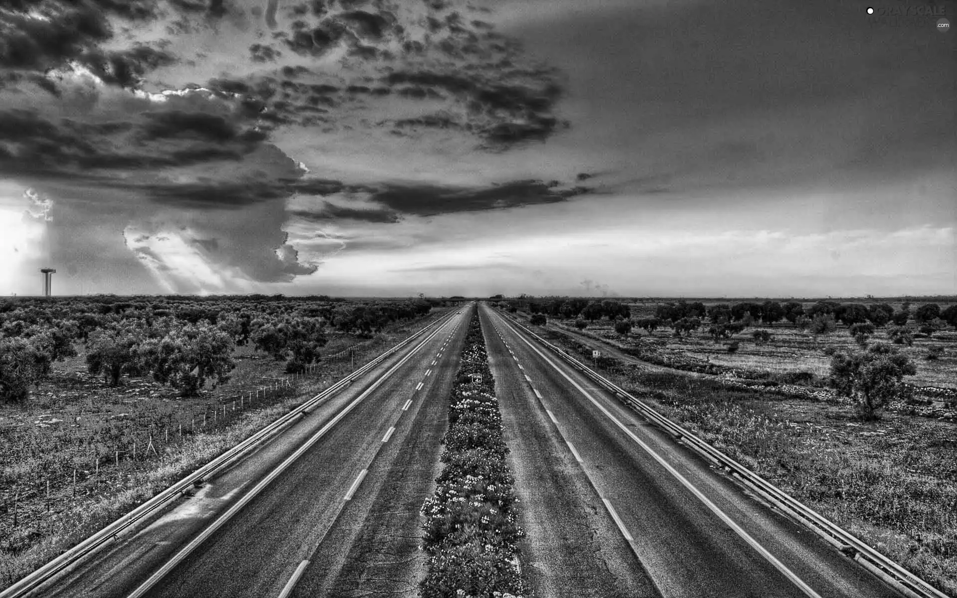 freeway, Clouds, Sky, Flowers