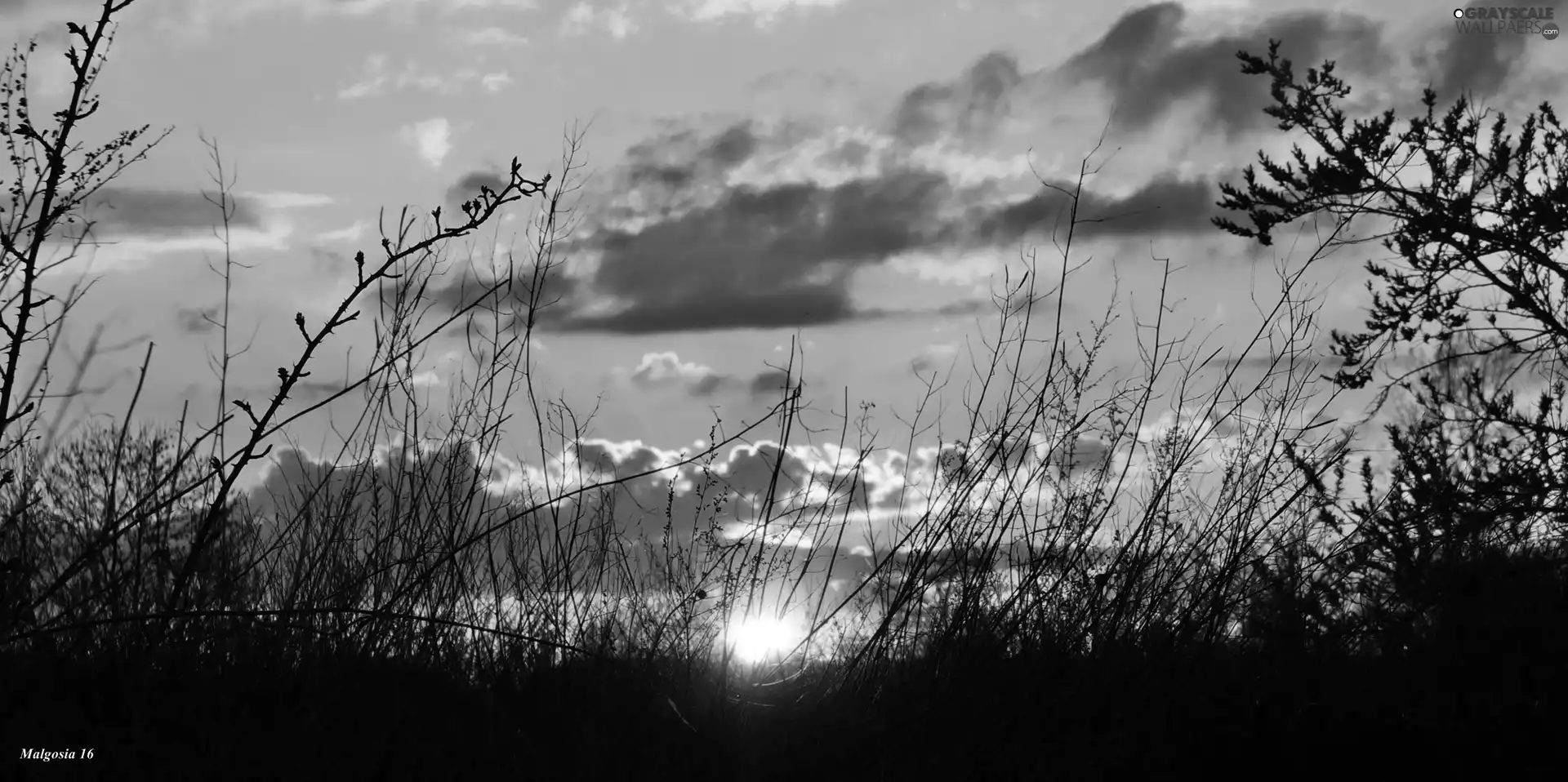 clouds, Great Sunsets, Sky