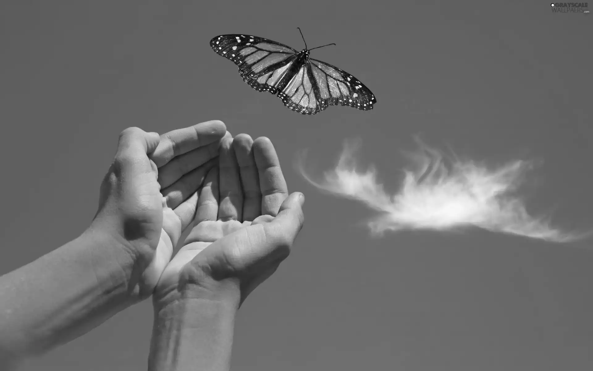 Sky, butterfly, hands