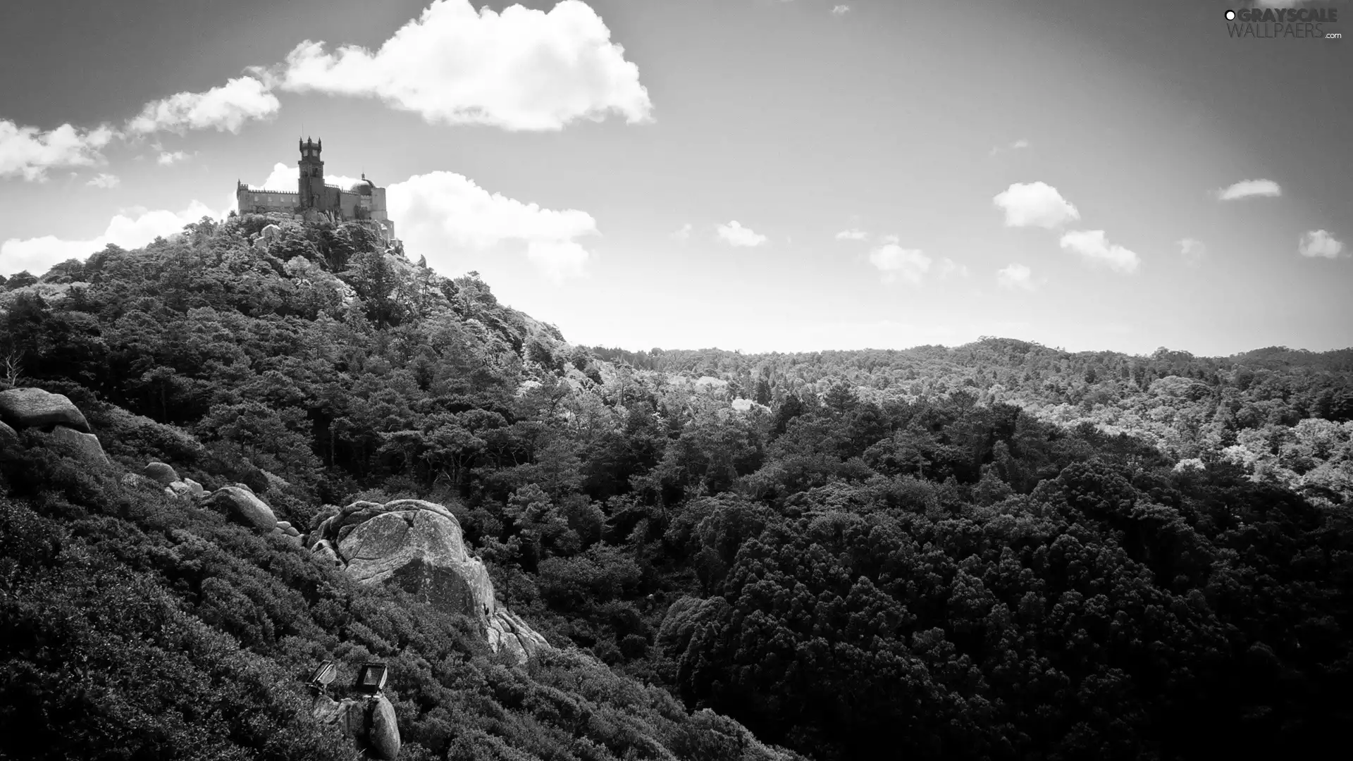 The Hills, Castle, Sky, forest